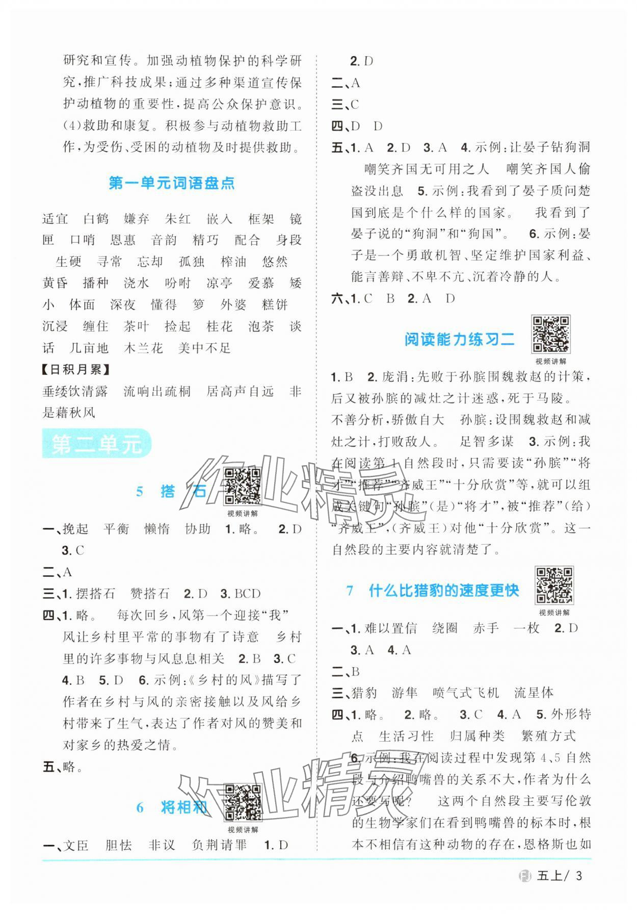 2024年阳光同学课时优化作业五年级语文上册人教版福建专版 第3页