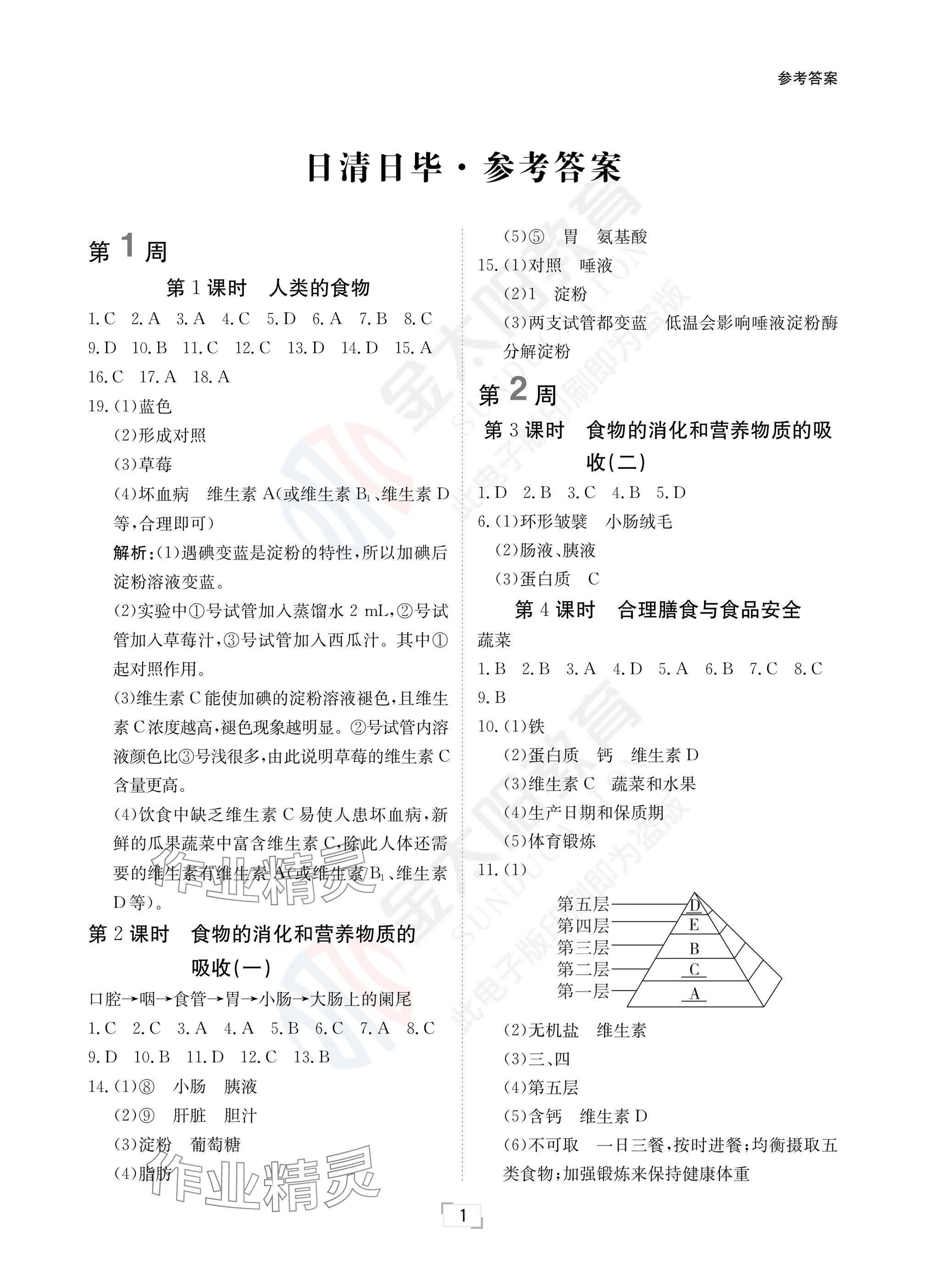 2025年日清周練七年級生物下冊北師大版 參考答案第1頁