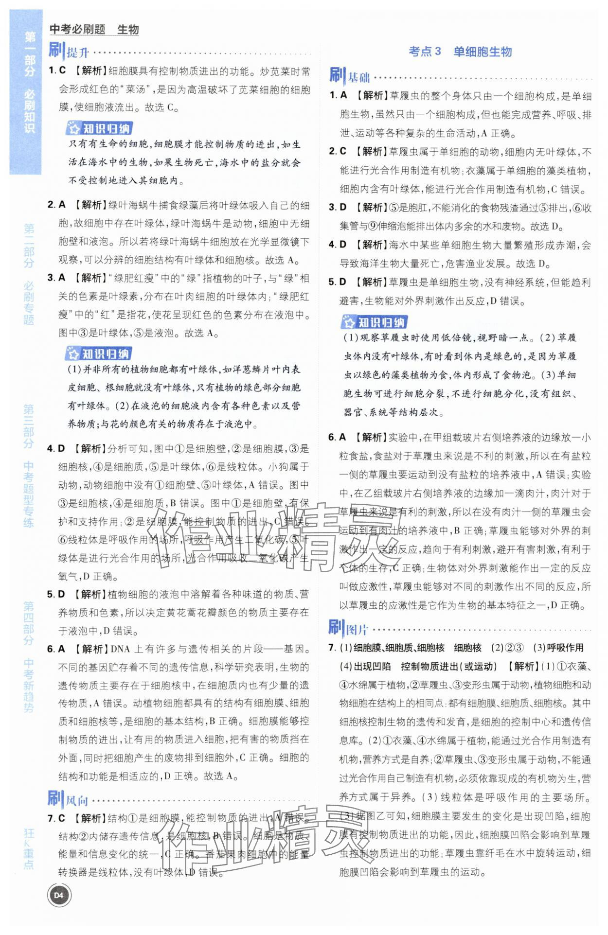 2024年中考必刷题开明出版社生物&nbsp;第4页