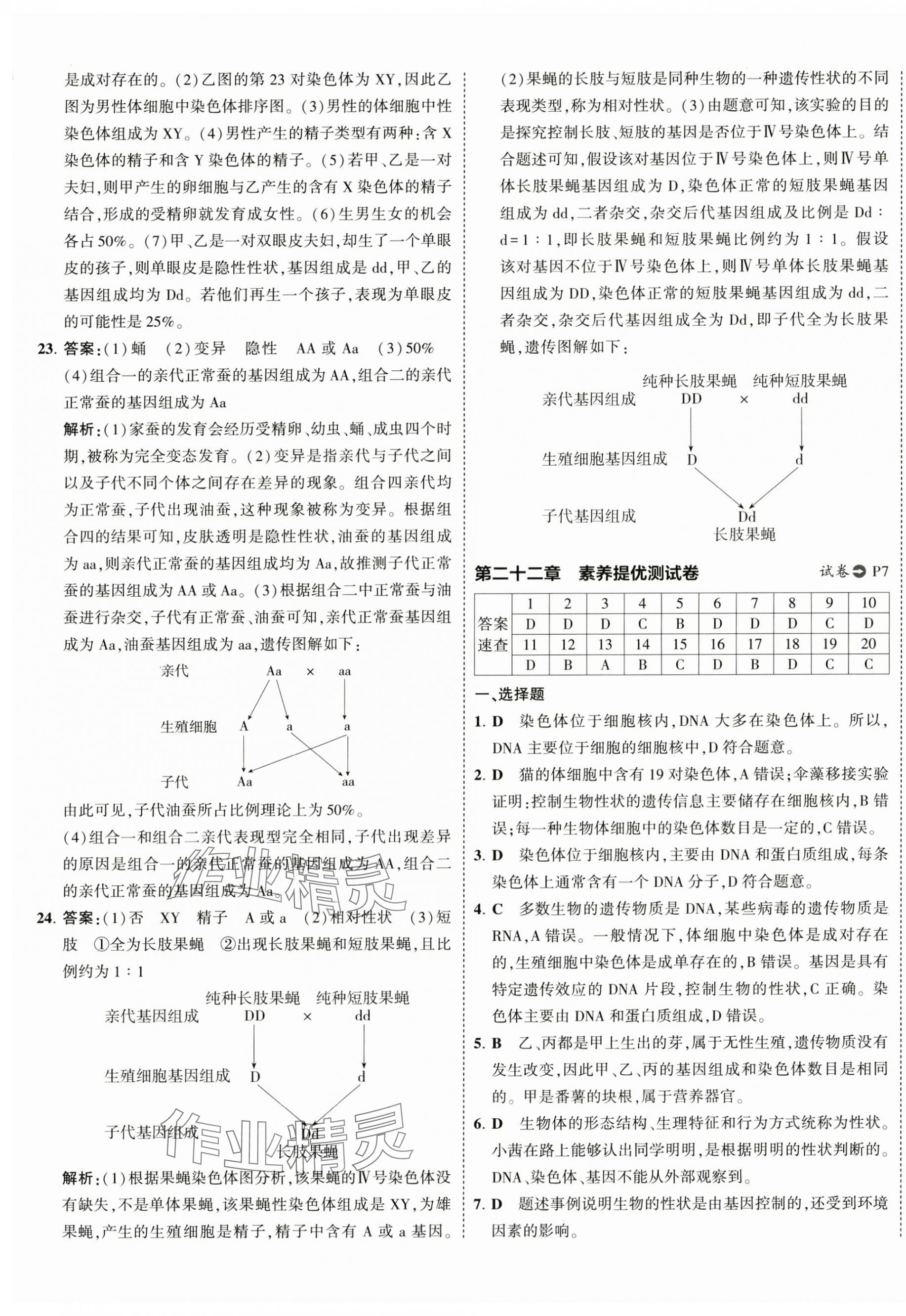 2025年5年中考3年模擬初中試卷生物中考蘇教版 第5頁