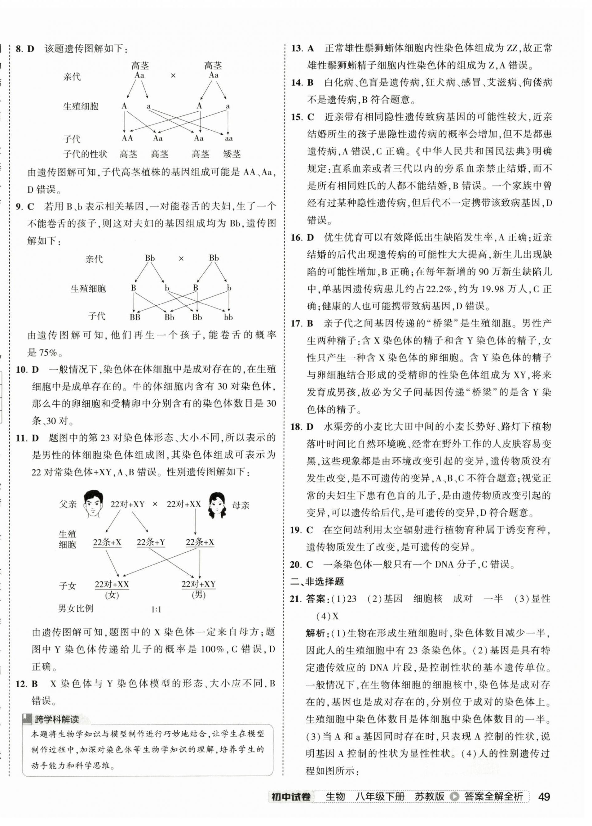 2025年5年中考3年模擬初中試卷生物中考蘇教版 第6頁