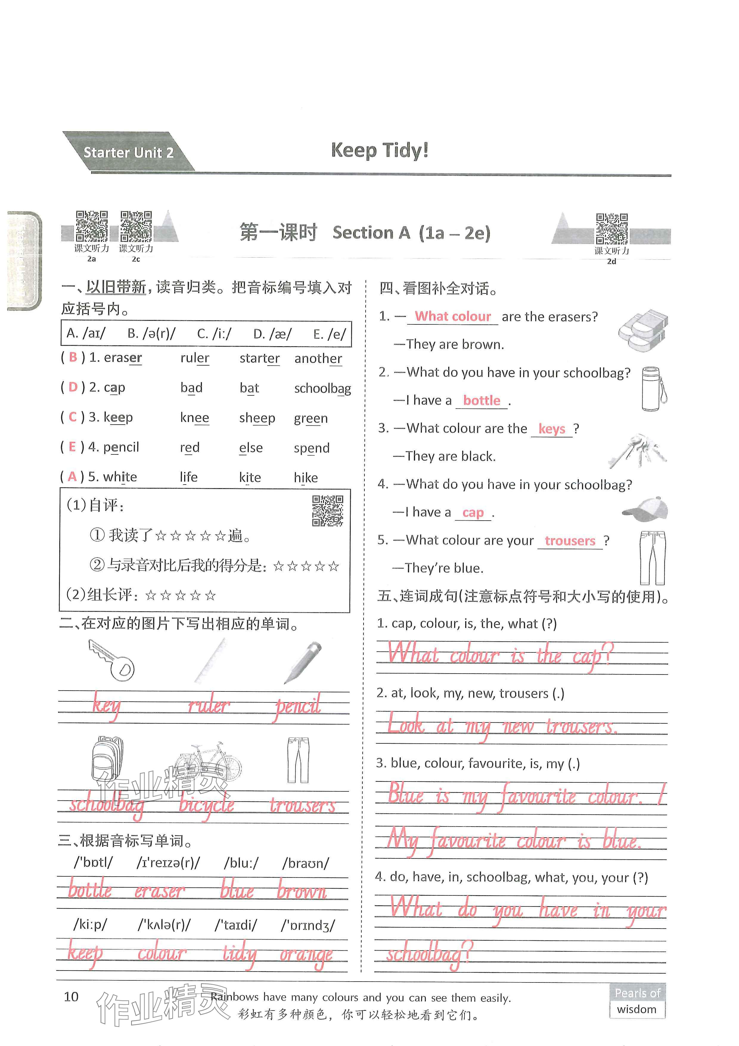 2024年新视界单元复习七年级英语上册人教版&nbsp;参考答案第9页