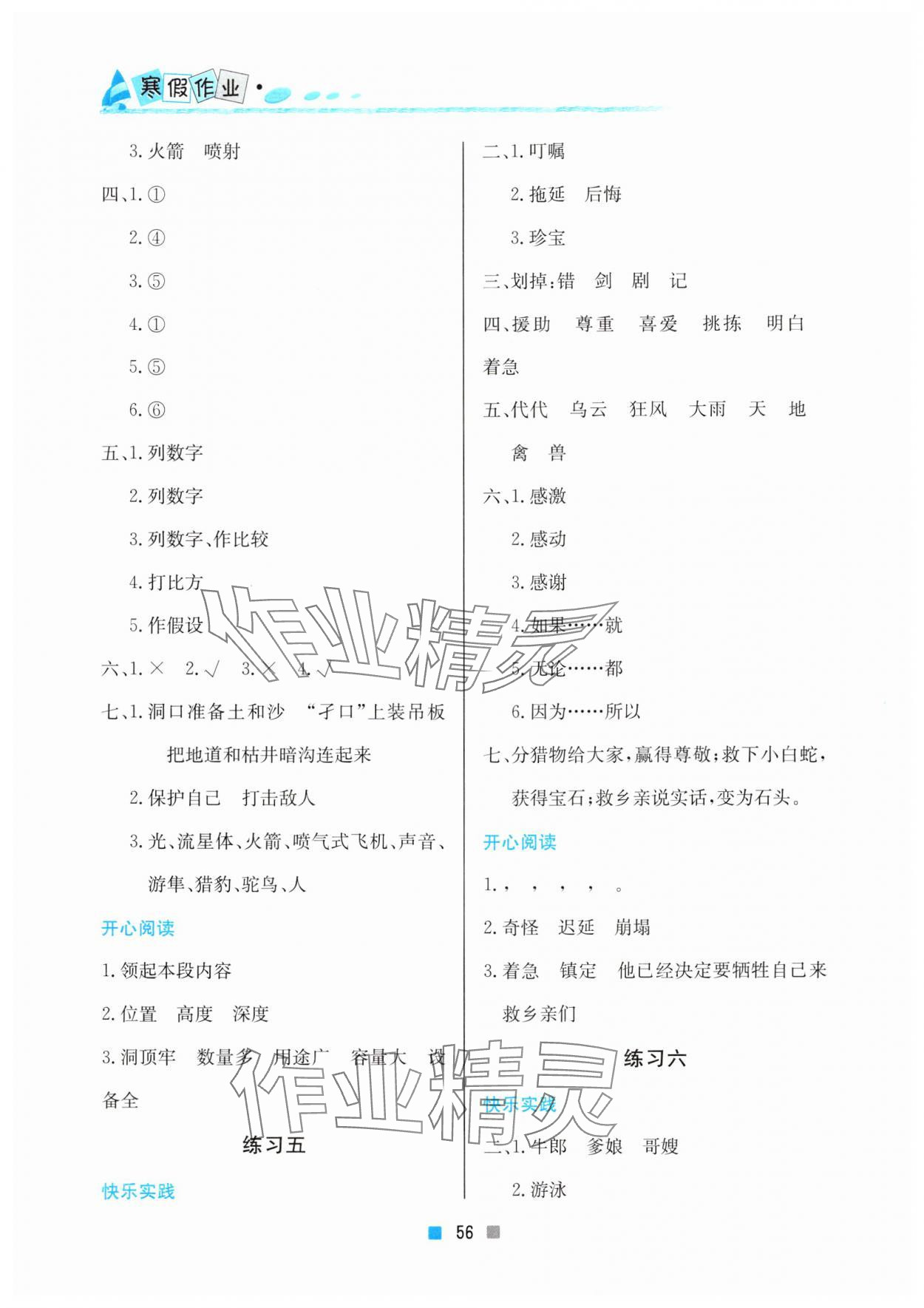 2025年寒假作業(yè)五年級(jí)語(yǔ)文北京教育出版社 參考答案第3頁(yè)