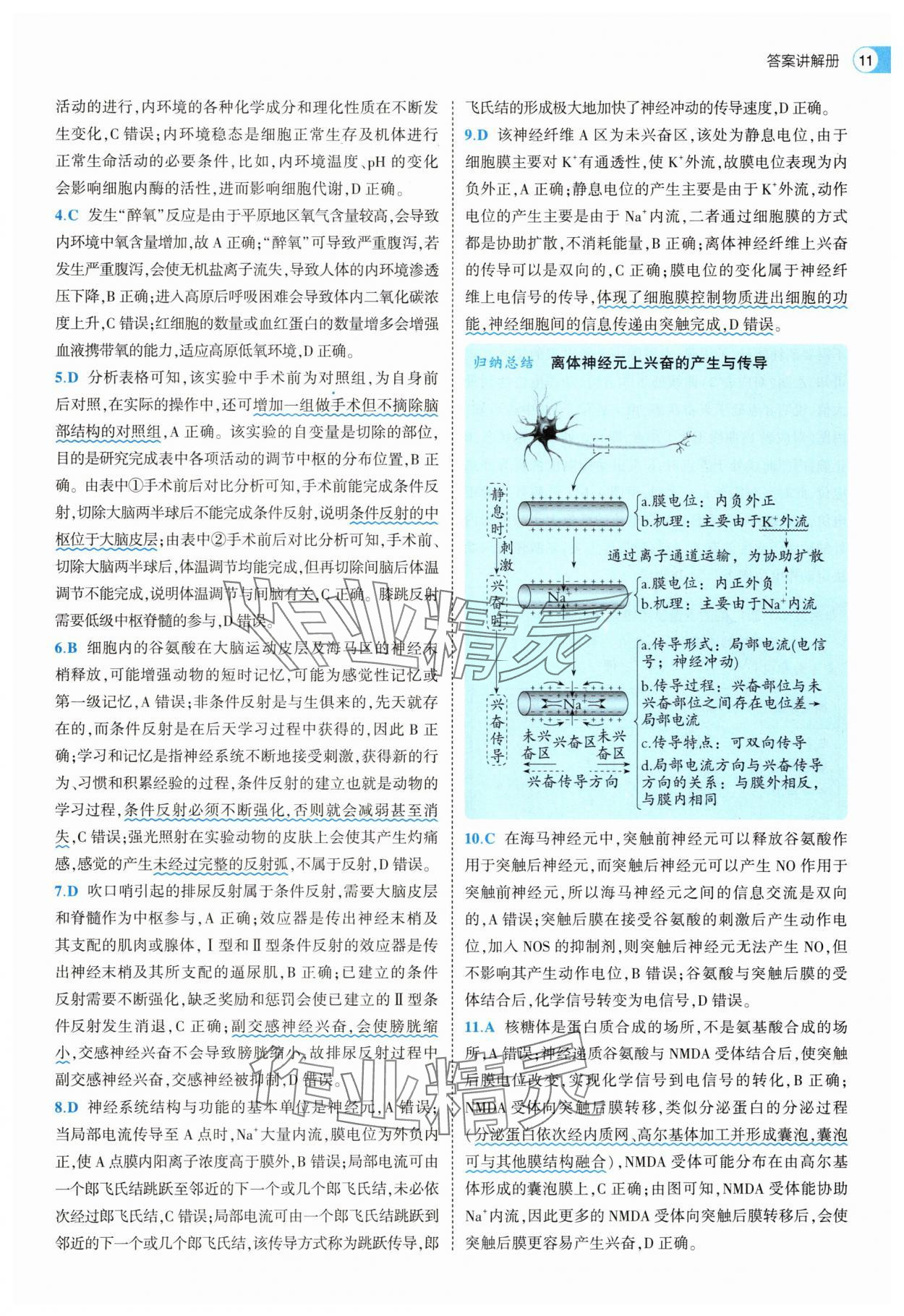 2025年53全優(yōu)卷生物選擇性必修1人教版 第11頁