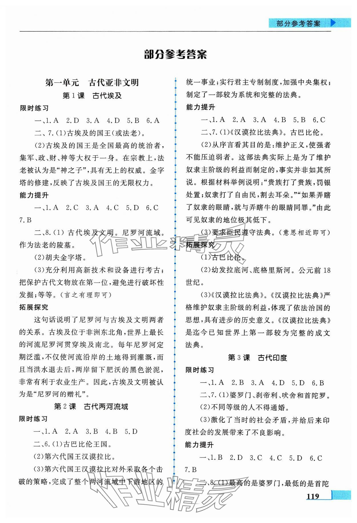 2023年名师点拨配套练习课时作业九年级历史上册人教版 第1页