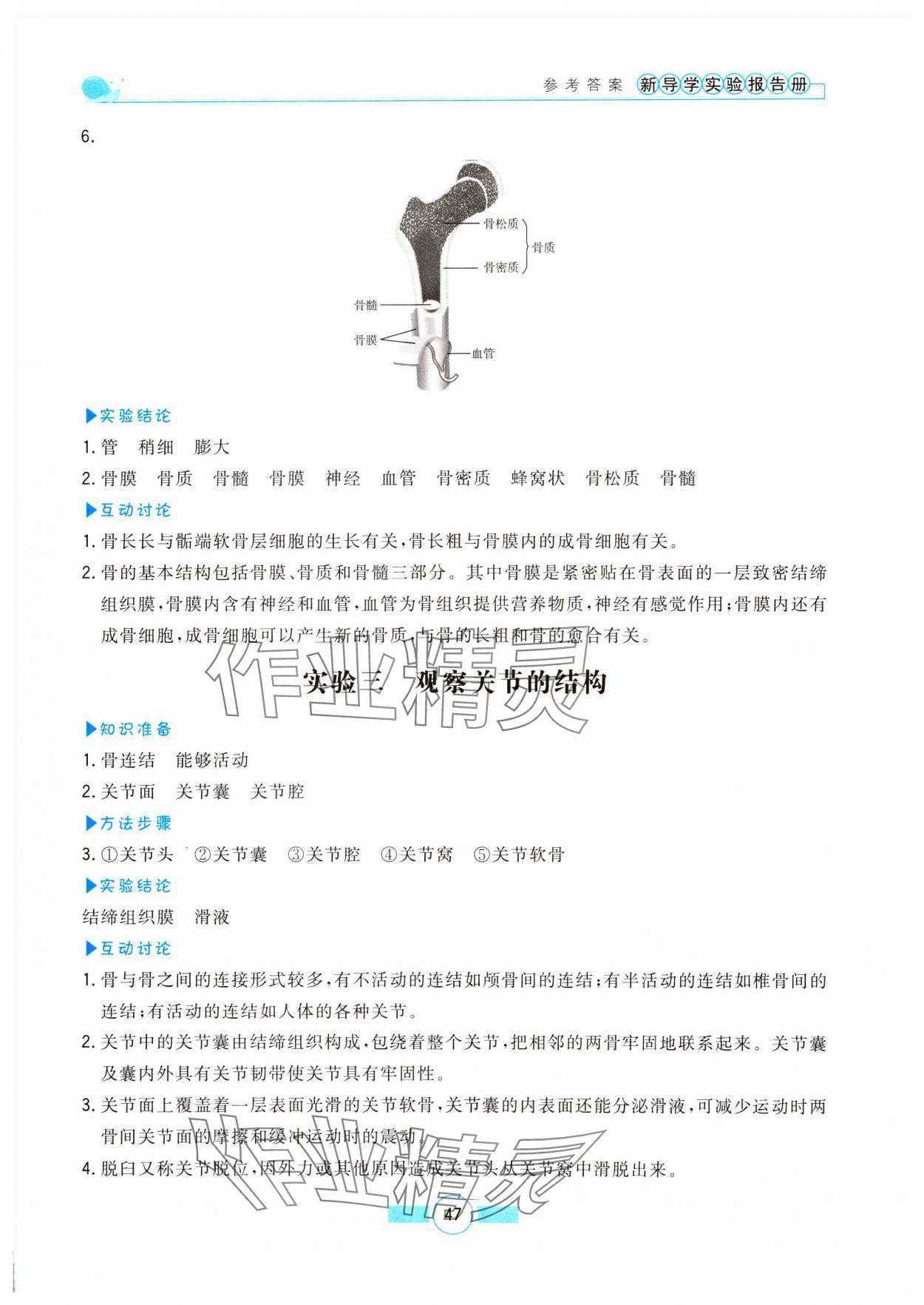 2024年新導學實驗報告冊八年級生物上冊北師大版 參考答案第2頁