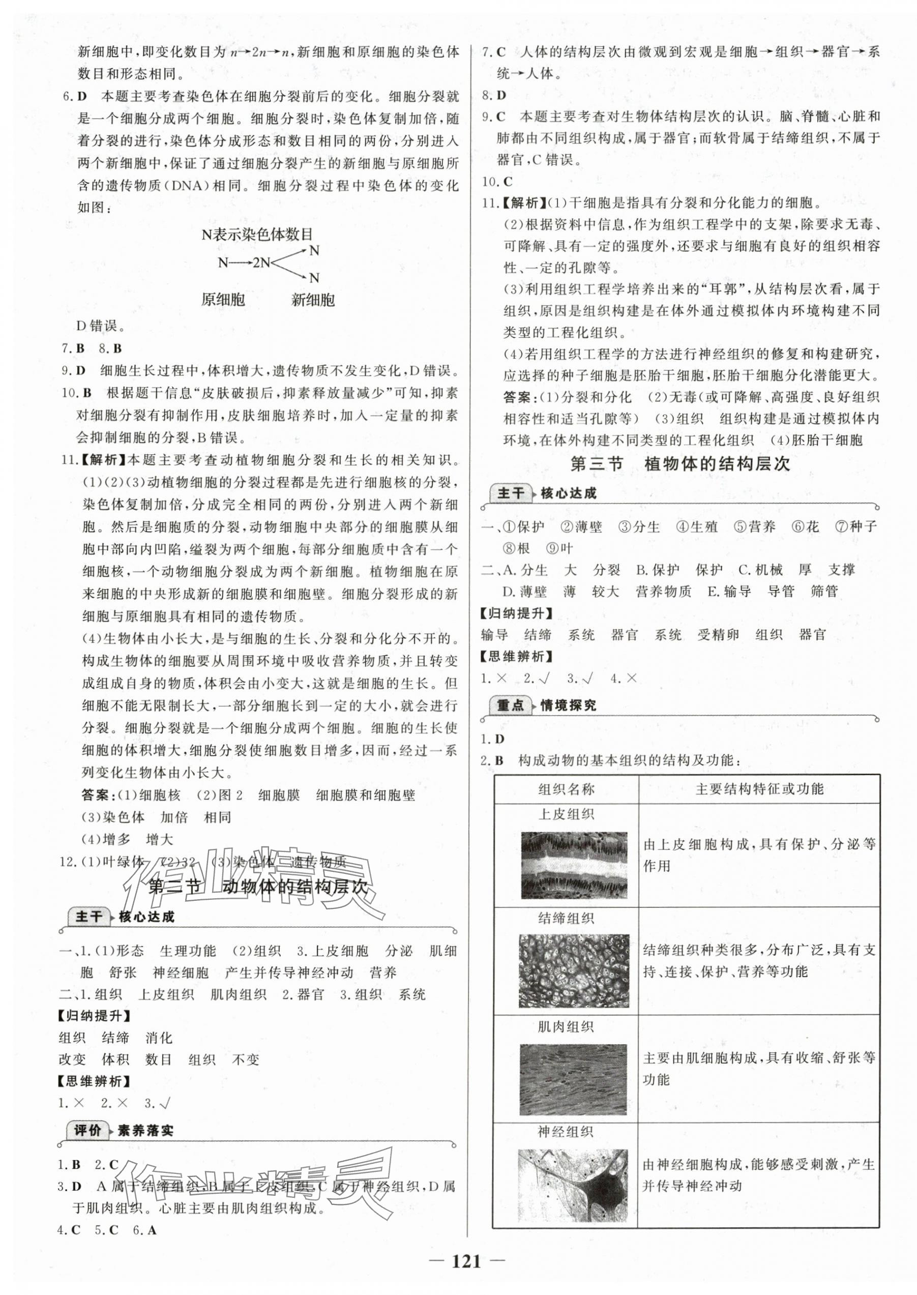 2025年世纪金榜金榜学案七年级生物上册人教版 第5页