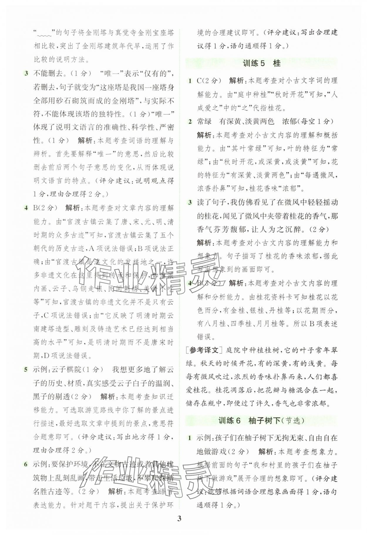 2025年通城學(xué)典組合訓(xùn)練四年級語文上冊人教版浙江專版 第3頁