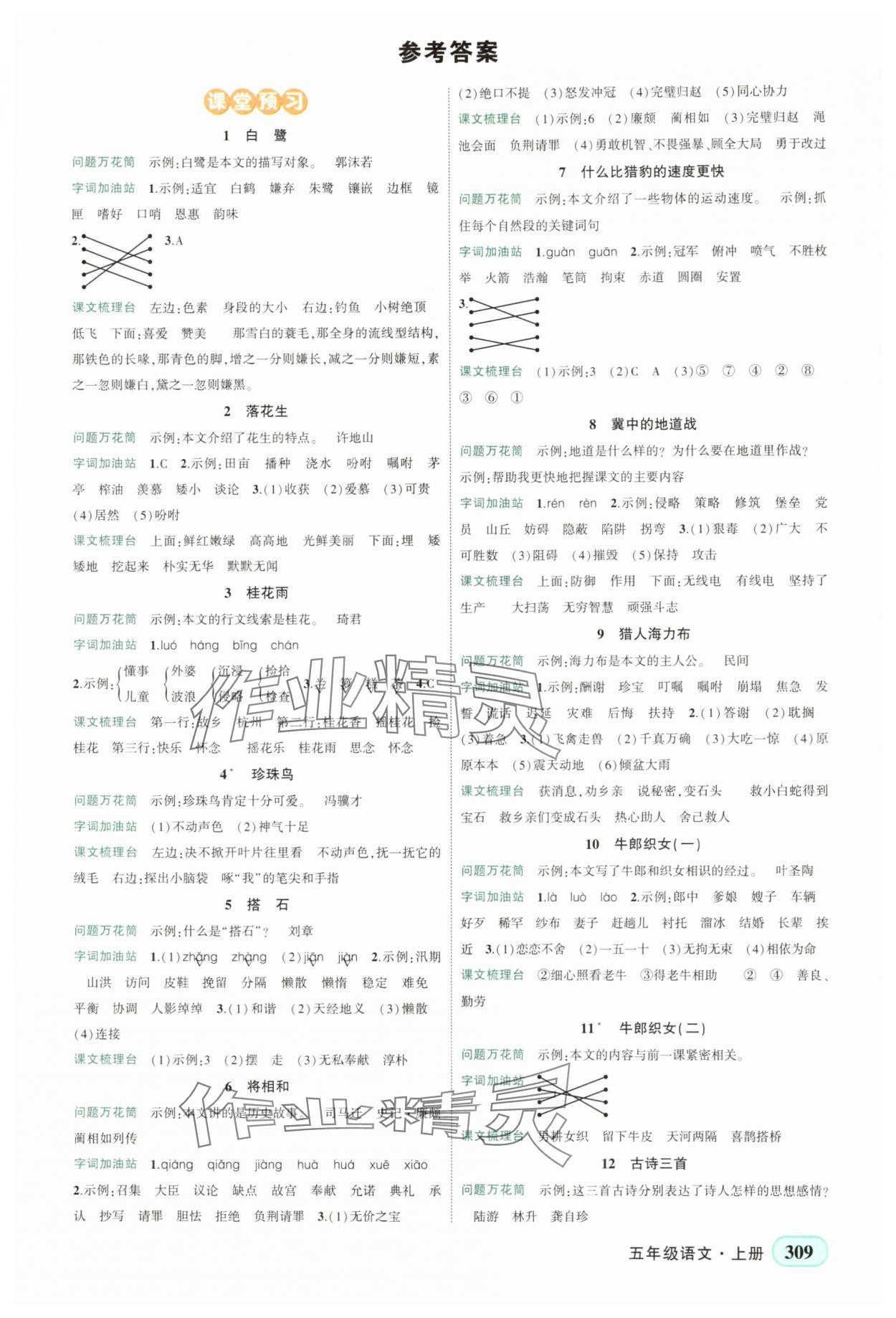 2025年黄冈状元成才路状元大课堂五年级语文上册人教版湖南专版 第1页