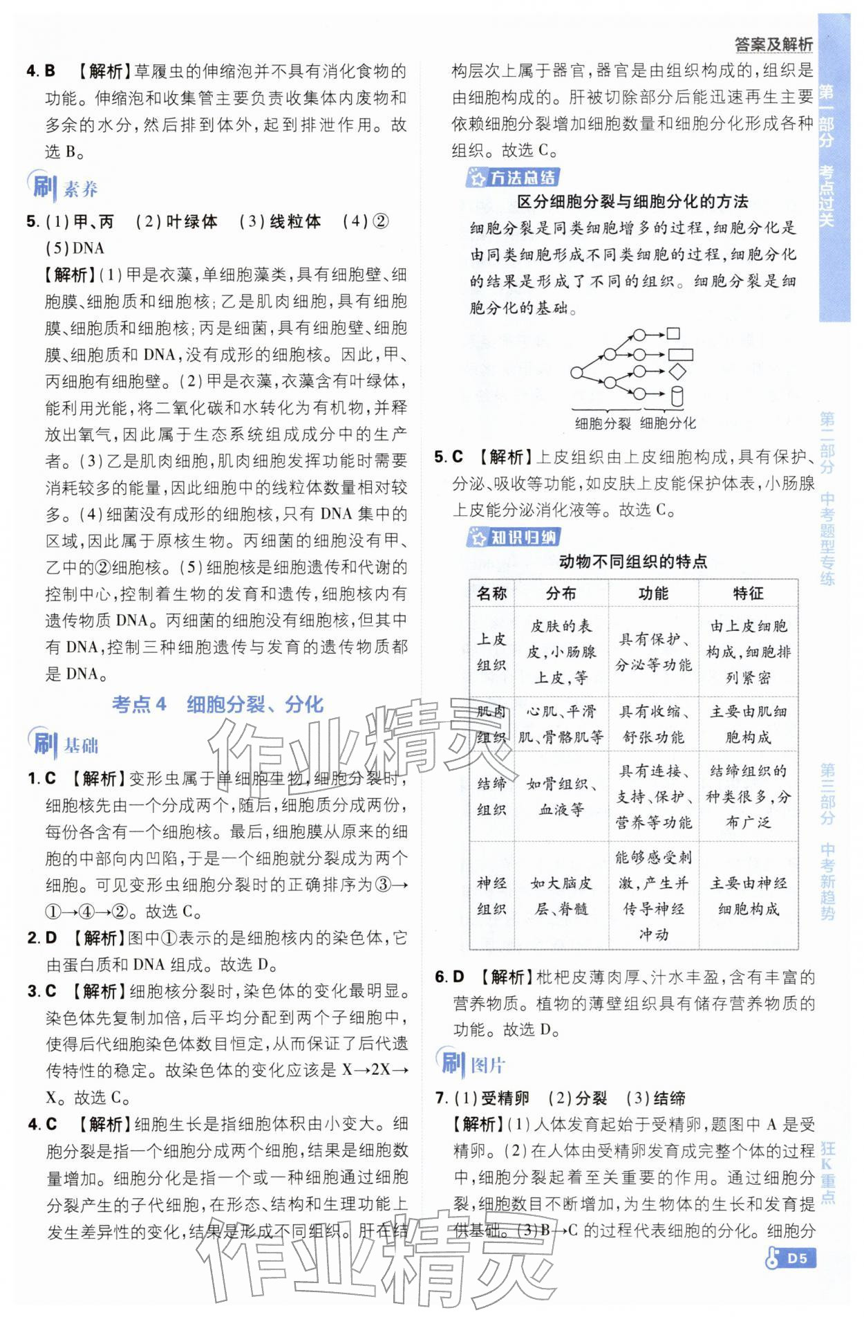 2026年中考必刷题开明出版社生物&nbsp;第5页