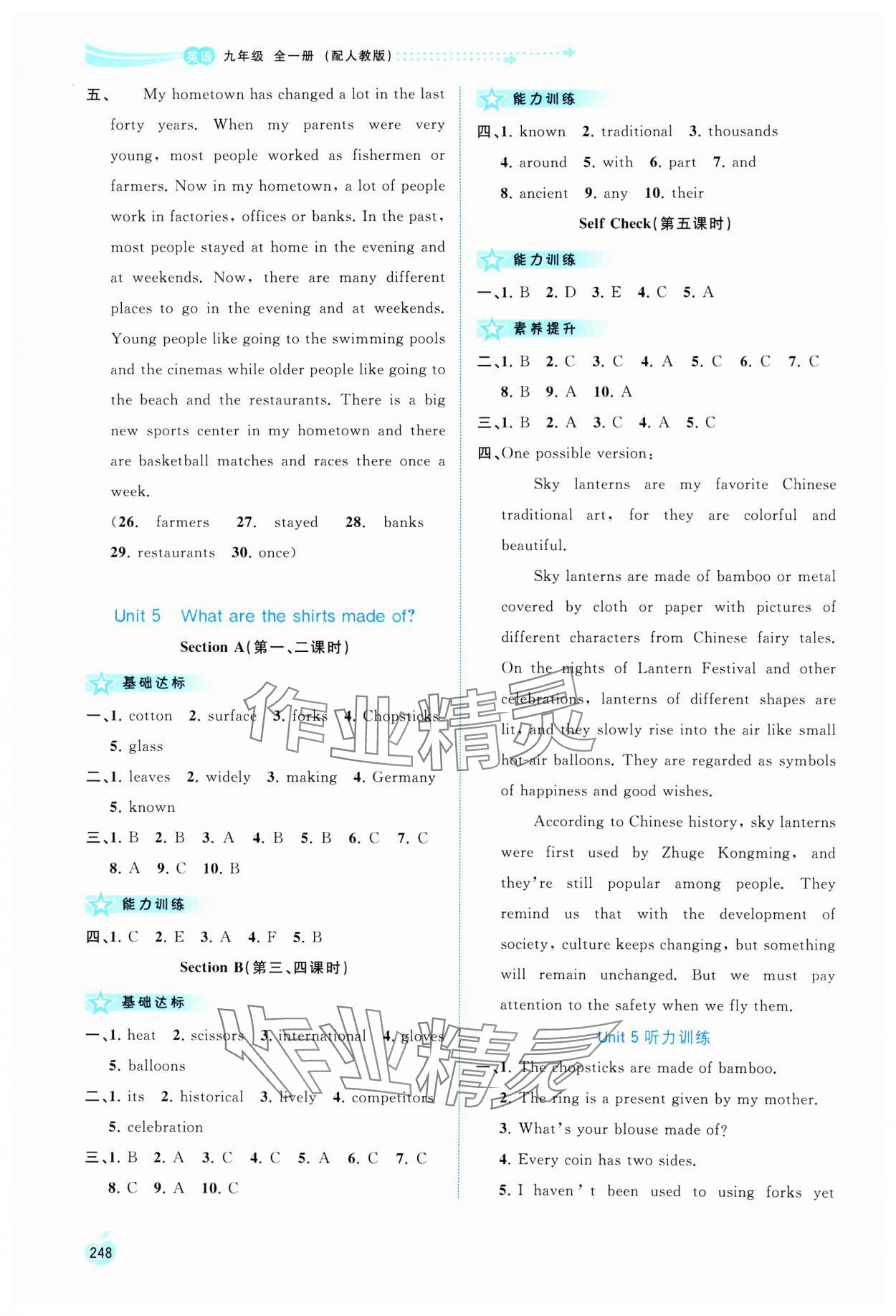 2025年新课程学习与测评同步学习九年级英语全一册人教版 第10页