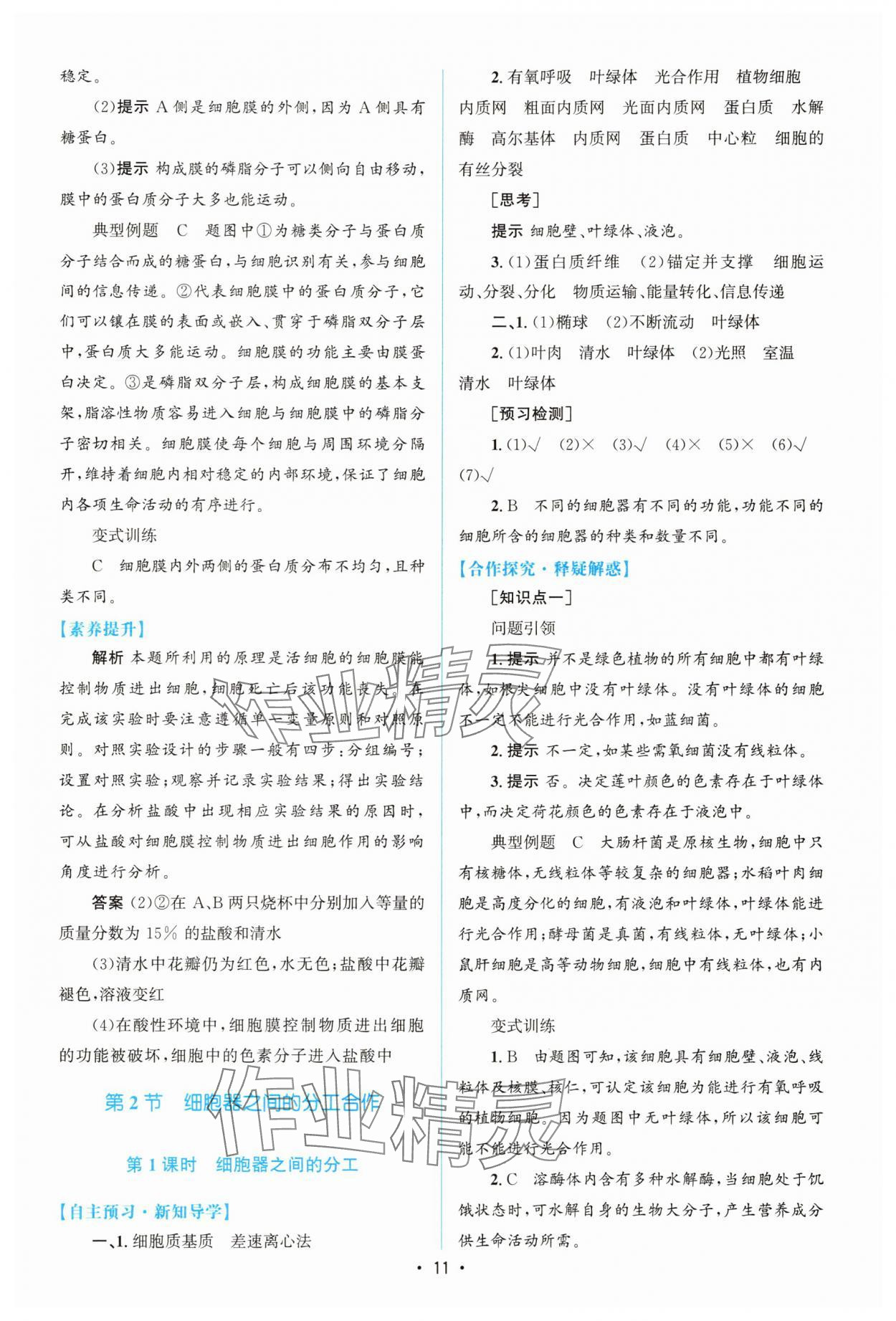 2025年高中同步測(cè)控優(yōu)化設(shè)計(jì)（分子與細(xì)胞）高中生物必修1人教版增強(qiáng)版 參考答案第10頁(yè)