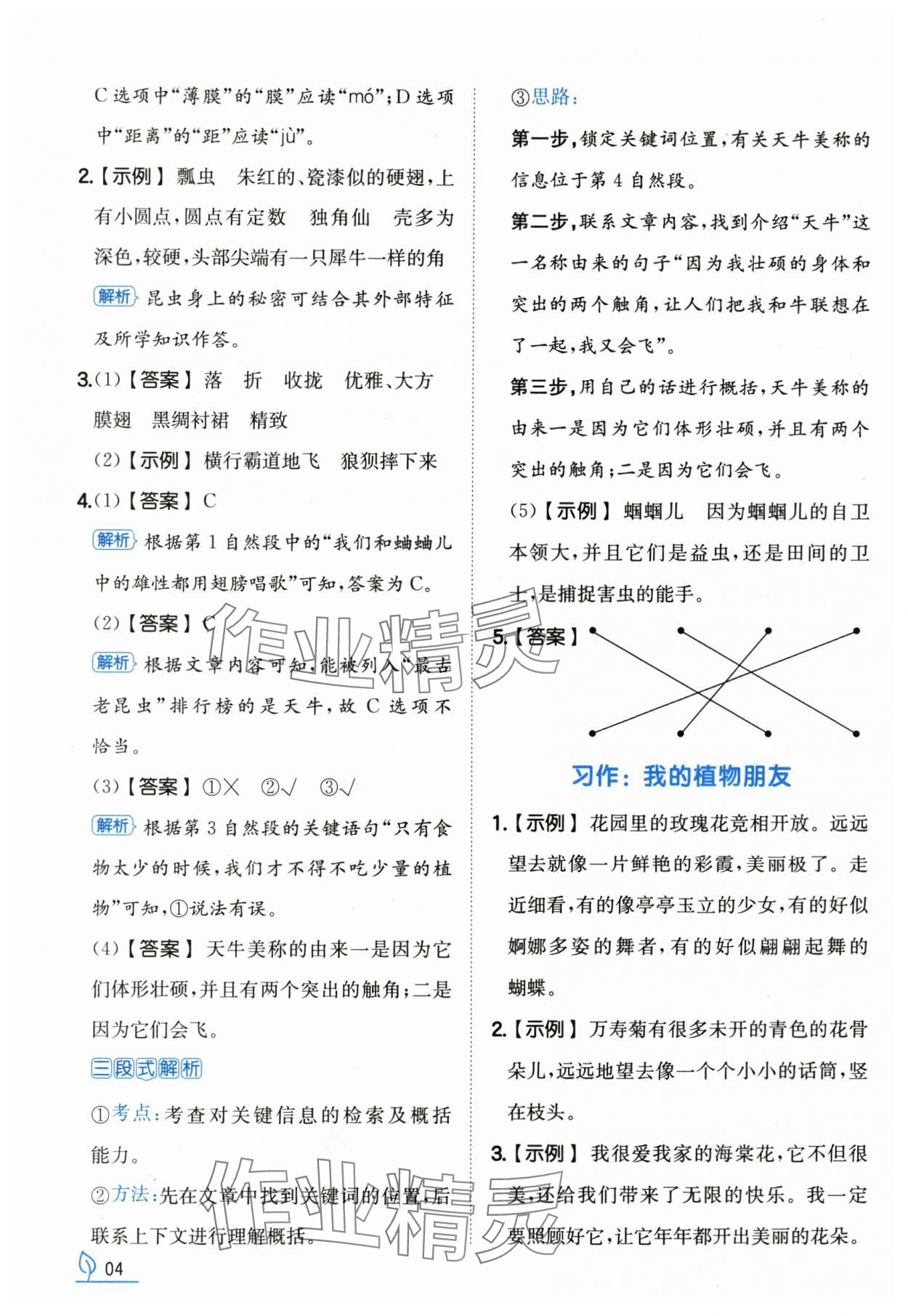 2025年一本同步訓(xùn)練三年級(jí)語(yǔ)文下冊(cè)人教版浙江專(zhuān)版 第4頁(yè)