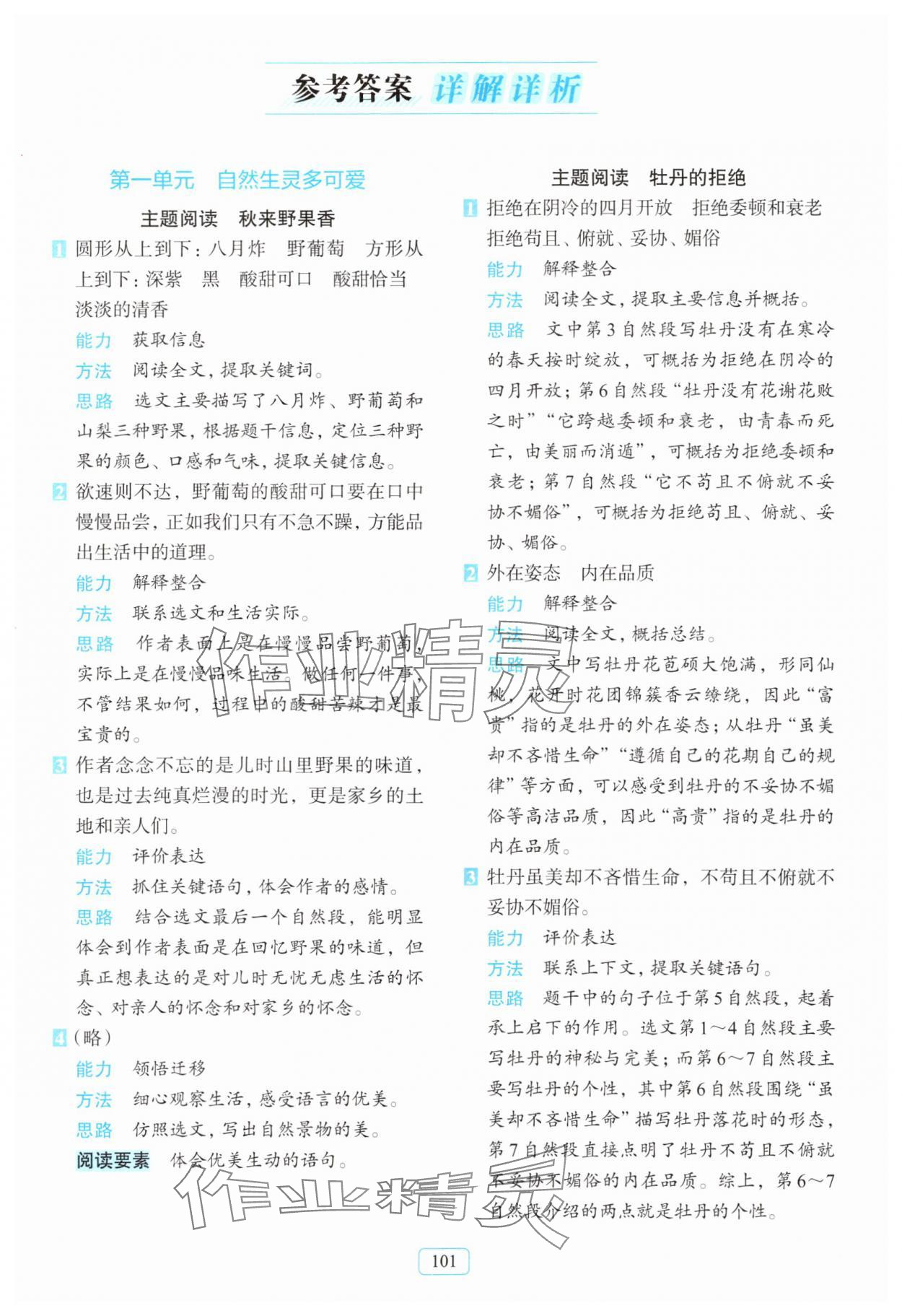 2025年知行合閱讀主題拓展訓練三年級語文下冊人教版 第1頁
