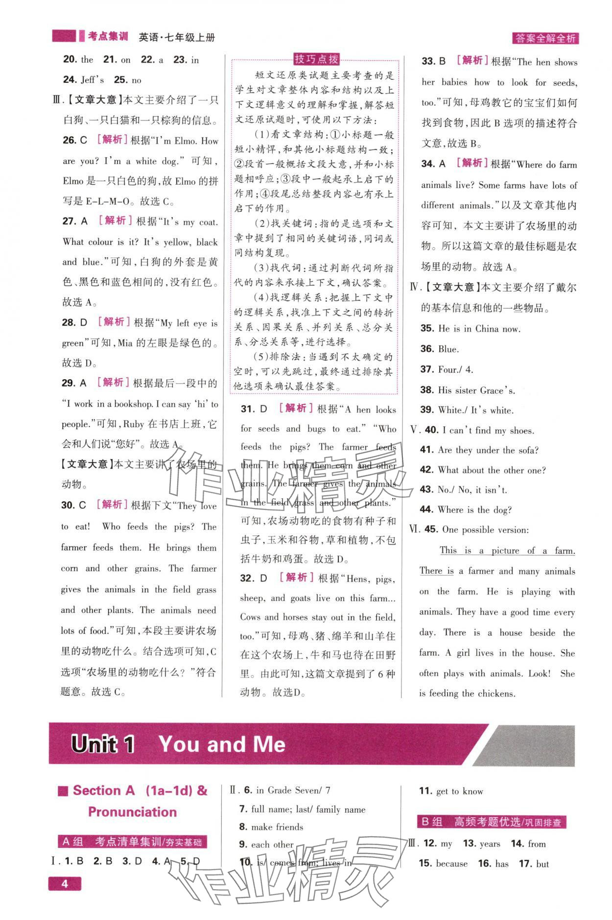 2025年考点集训与满分备考七年级英语上册人教版 第4页