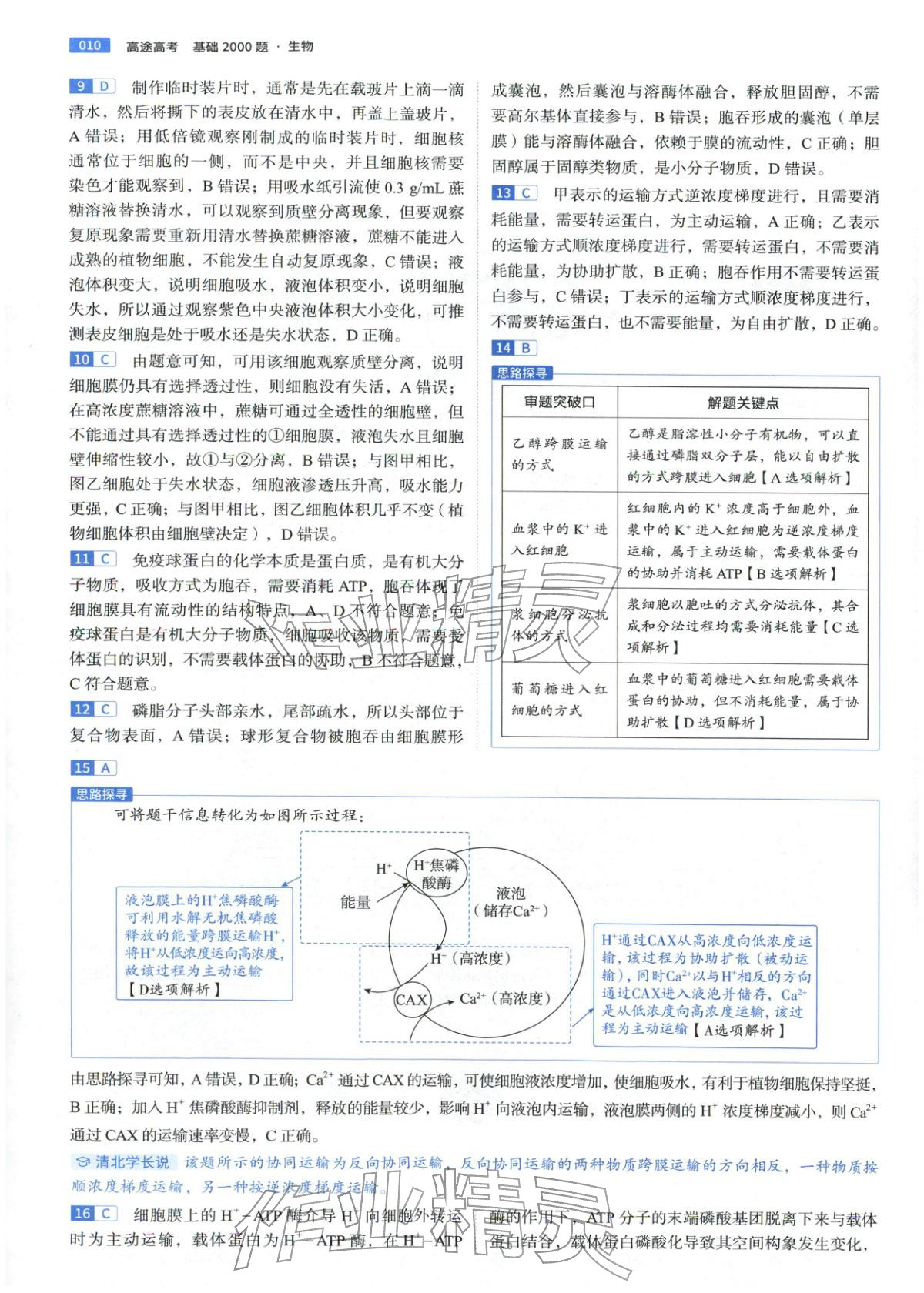 2026年高途高考基礎(chǔ)2000題高中生物&nbsp;第10頁