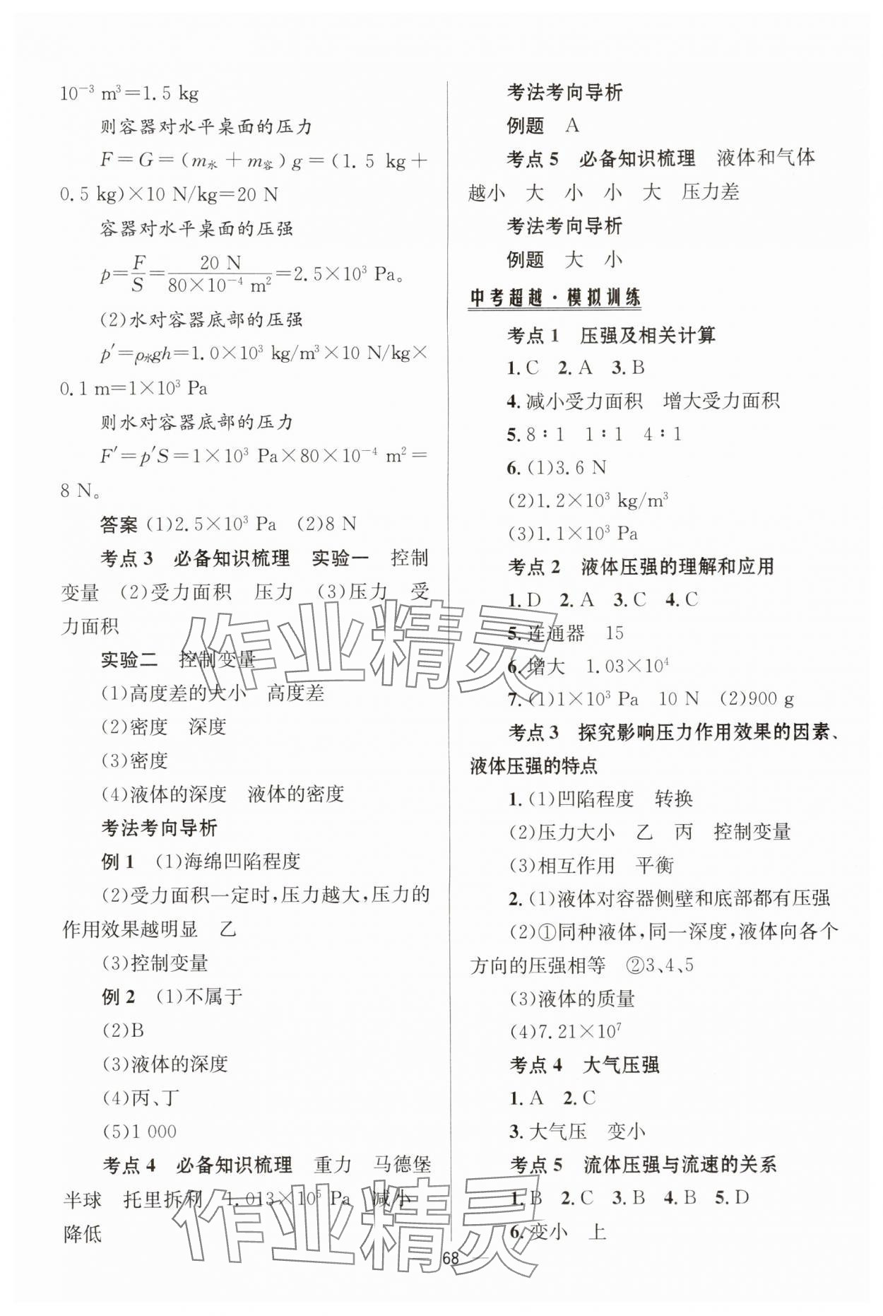2025年初中總復(fù)習(xí)手冊北京師范大學(xué)出版社物理 第8頁