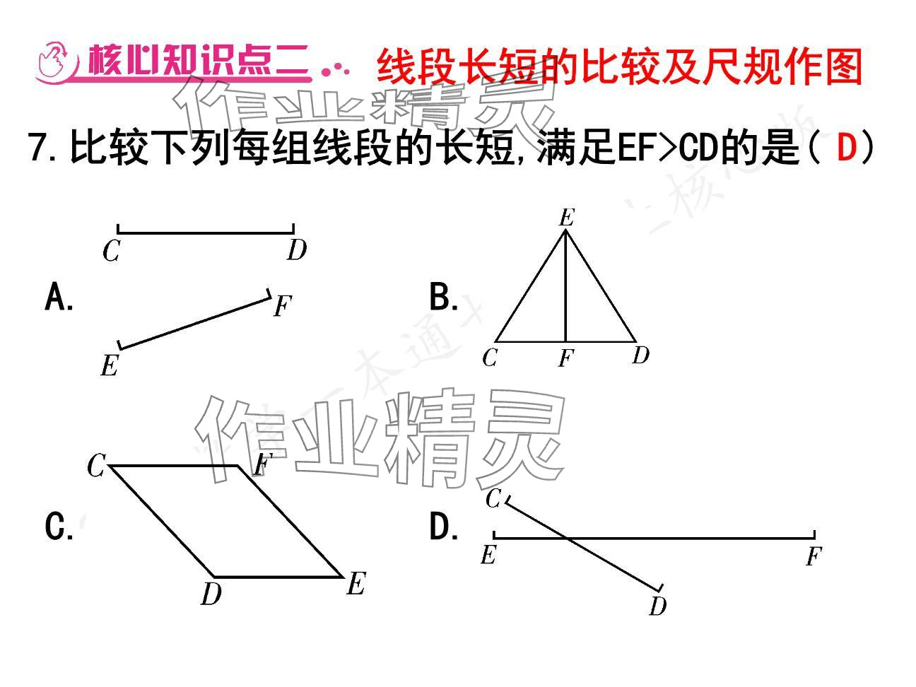 2024年一本通武漢出版社七年級數(shù)學(xué)上冊北師大版核心板 參考答案第19頁