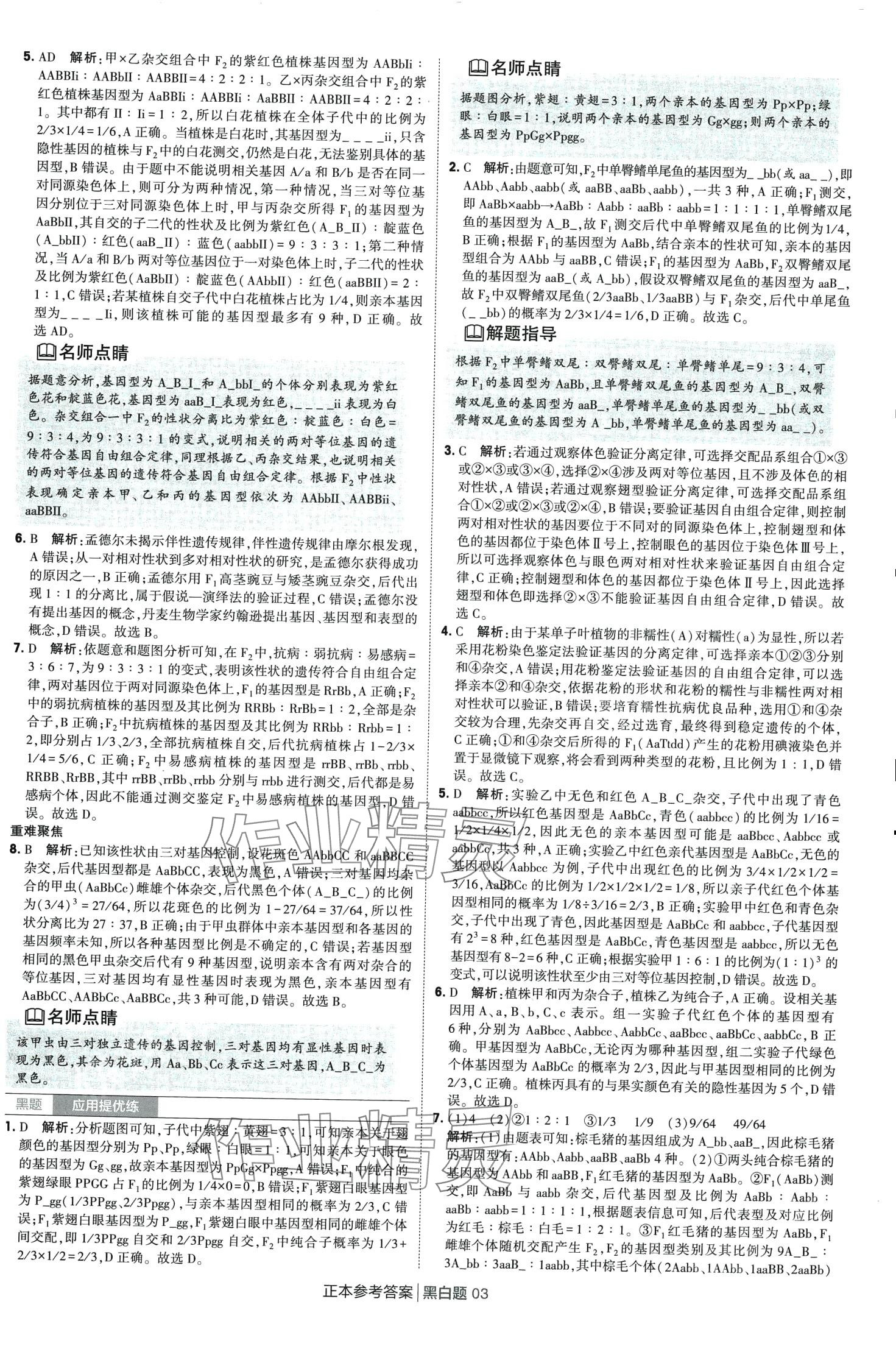 2024年經(jīng)綸學(xué)典黑白題高中生物必修第二冊人教版 第3頁