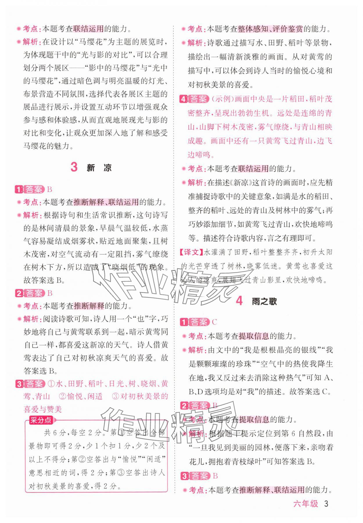 2025年陽光同學同步閱讀素養(yǎng)測試六年級語文上冊人教版 參考答案第3頁