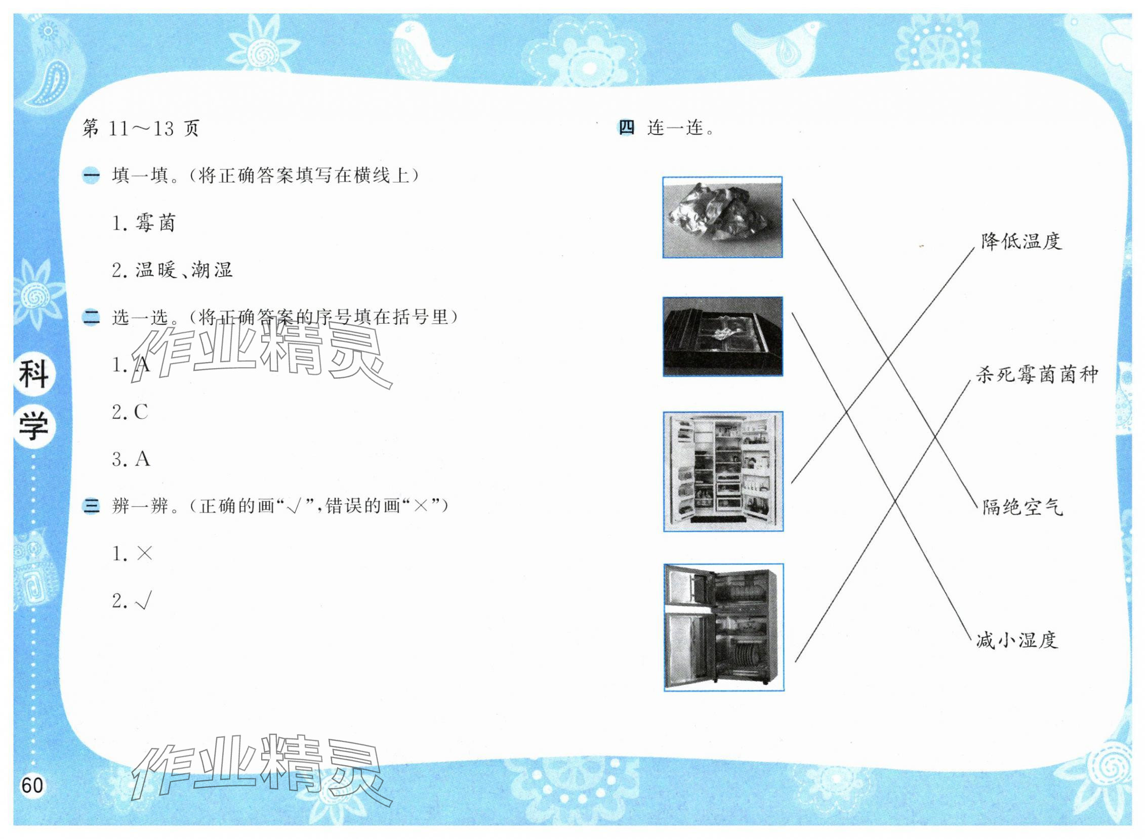 2025年暑假作業(yè)五年級(jí)科學(xué)蘇教版安徽少年兒童出版社 第4頁(yè)