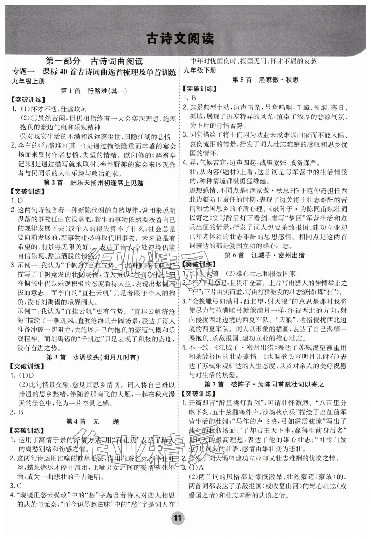 2025年中考大數(shù)據(jù)語文中考河北專版&nbsp;參考答案第11頁