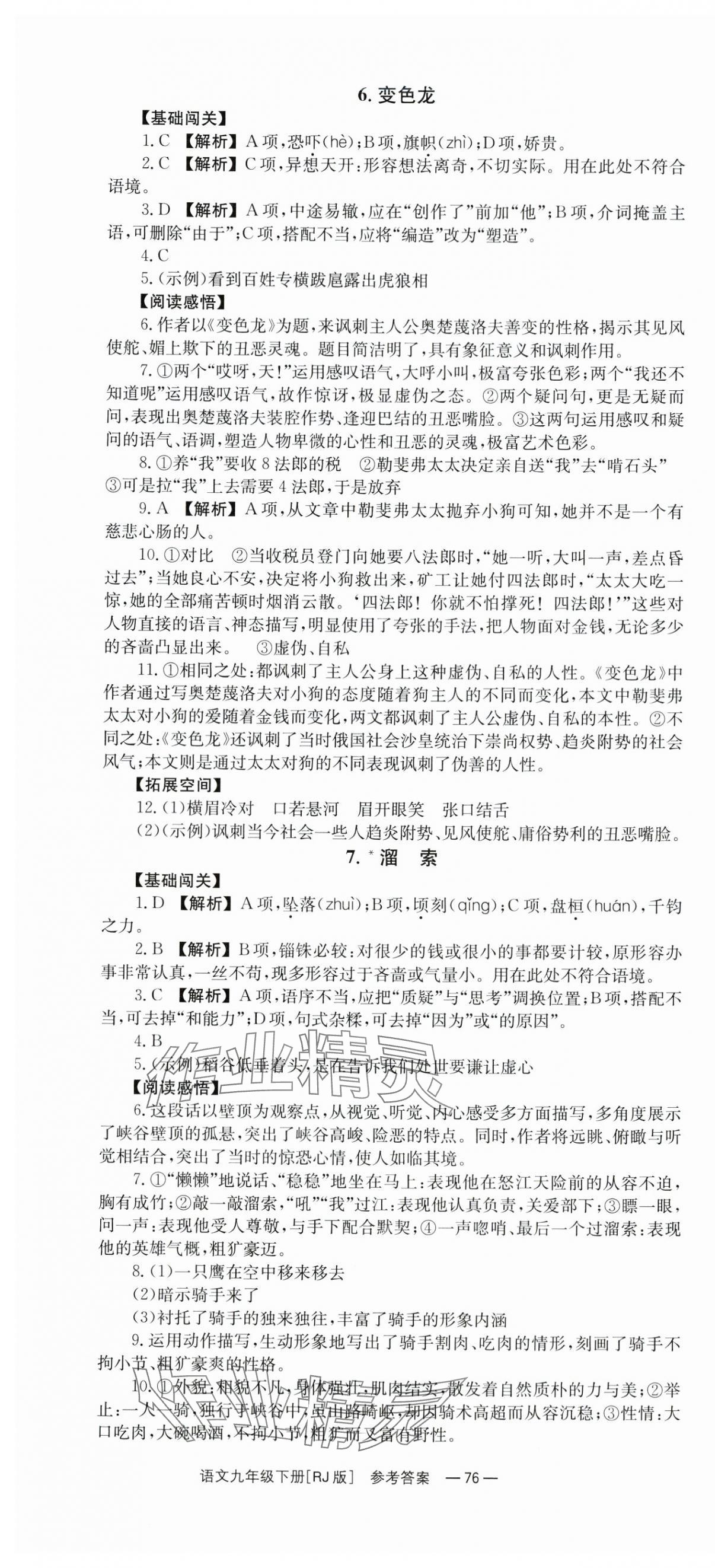 2024年全效學(xué)習(xí)同步學(xué)練測(cè)九年級(jí)語(yǔ)文下冊(cè)人教版 第4頁(yè)