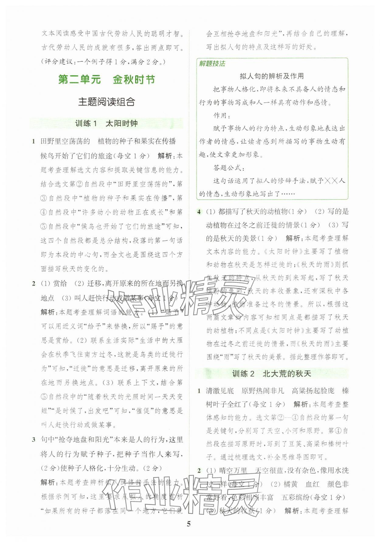 2025年通城学典组合训练三年级语文上册人教版浙江专版 第5页