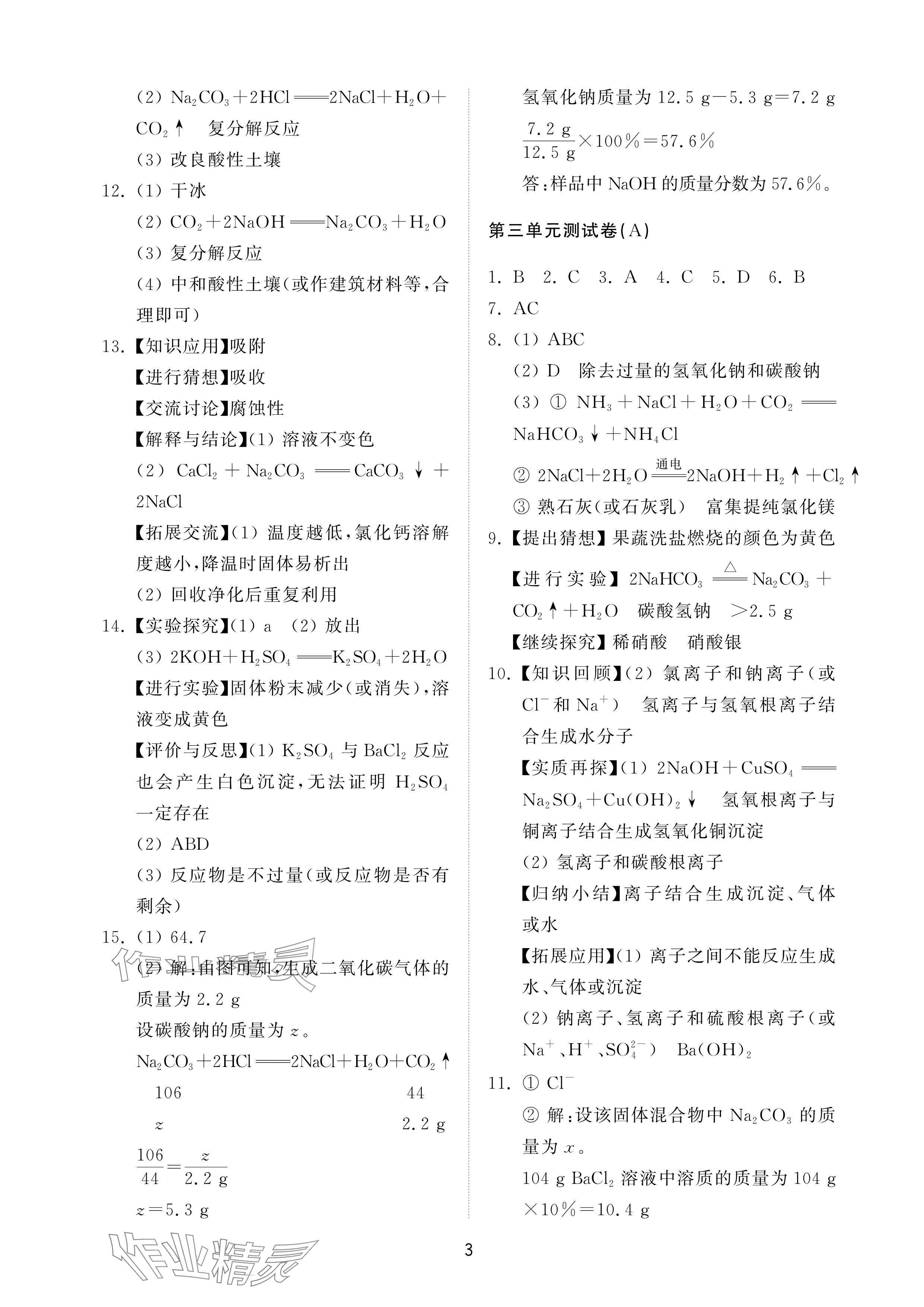 2025年同步練習冊配套檢測卷九年級化學下冊魯教版煙臺專版五四制 參考答案第3頁