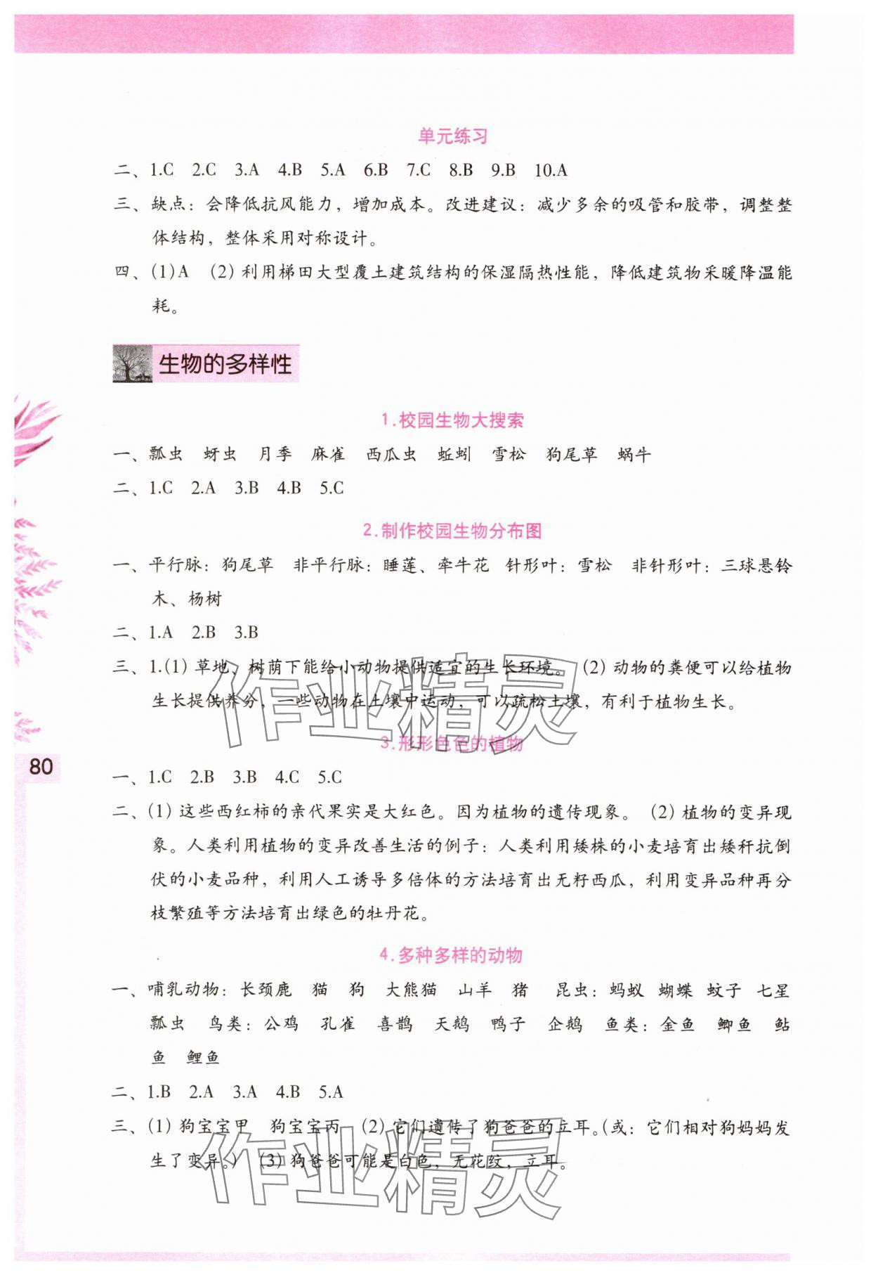 2025年學習與鞏固六年級科學下冊教科版 第2頁