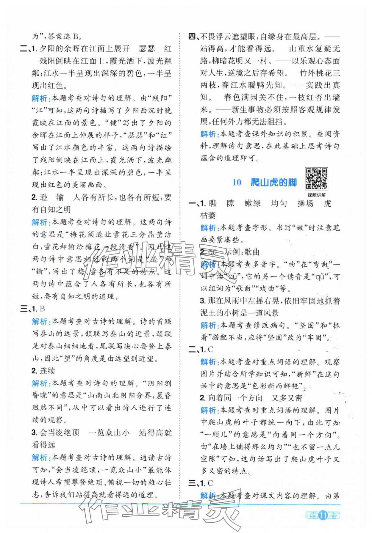 2025年陽光同學(xué)課時(shí)全優(yōu)訓(xùn)練四年級(jí)語文上冊(cè)人教版浙江專版 第11頁