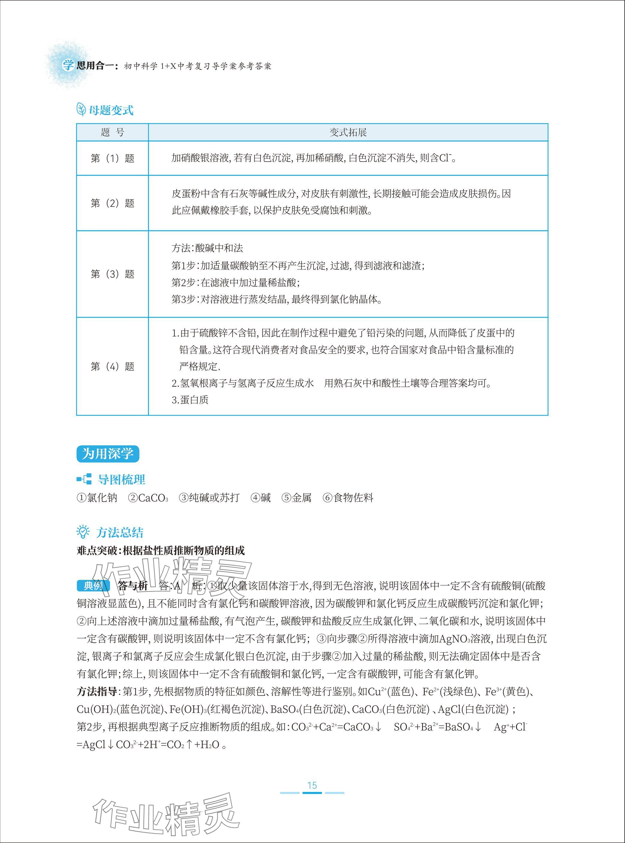 2025年學思用合一初中科學1加X中考復習導學案 參考答案第15頁