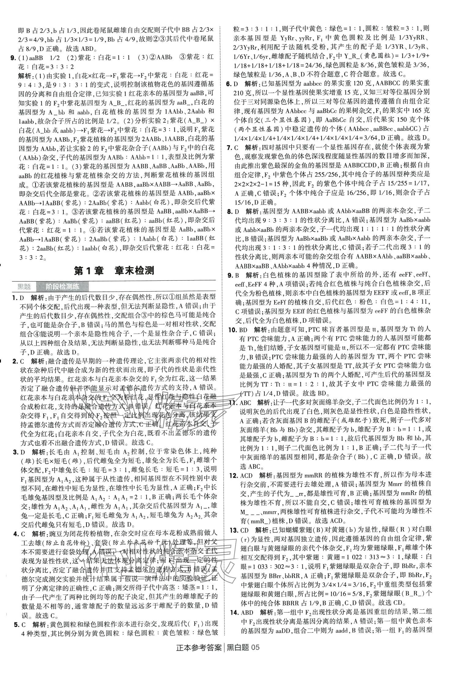 2024年經(jīng)綸學典黑白題高中生物必修第二冊人教版 第5頁