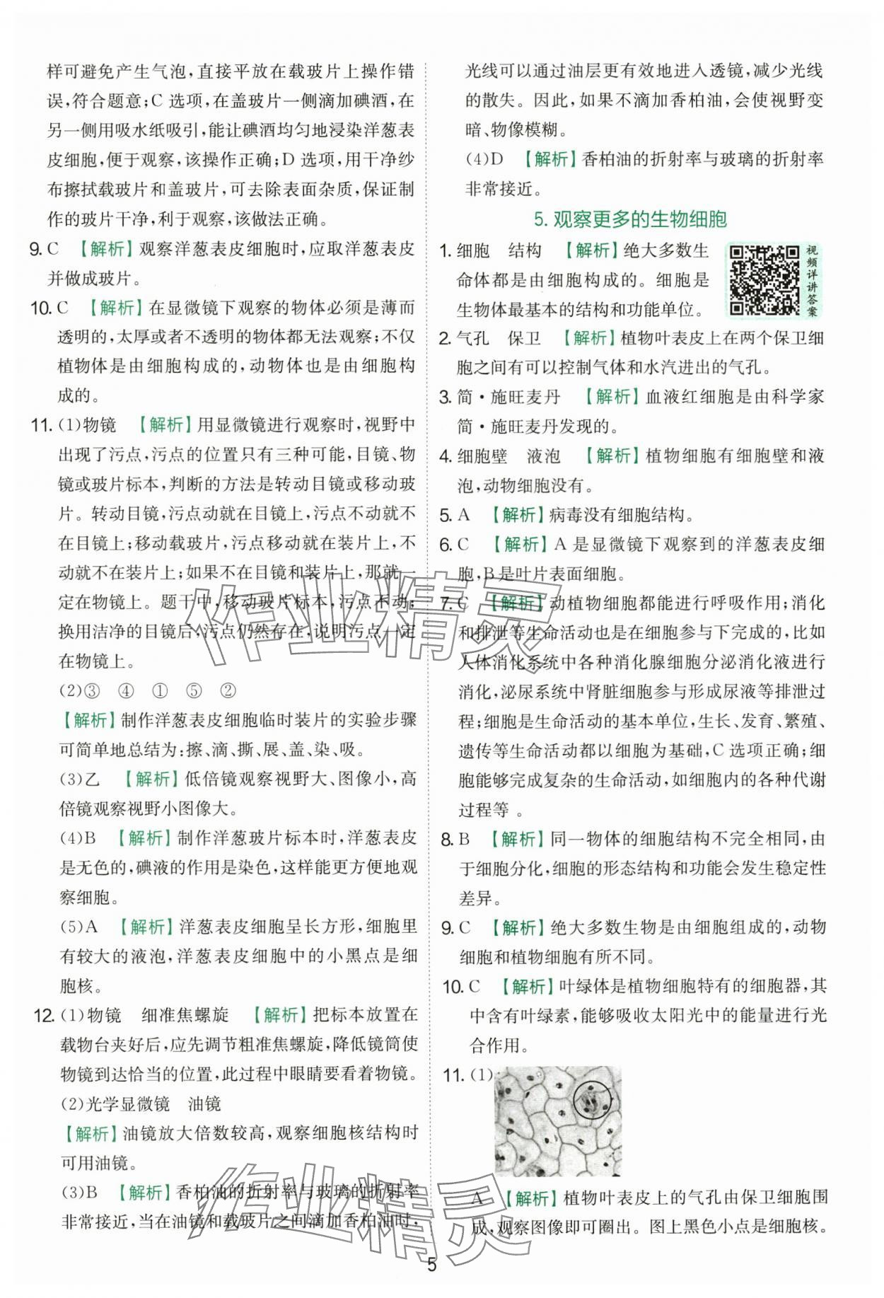 2025年實(shí)驗(yàn)班提優(yōu)訓(xùn)練六年級科學(xué)上冊教科版浙江專版 第5頁