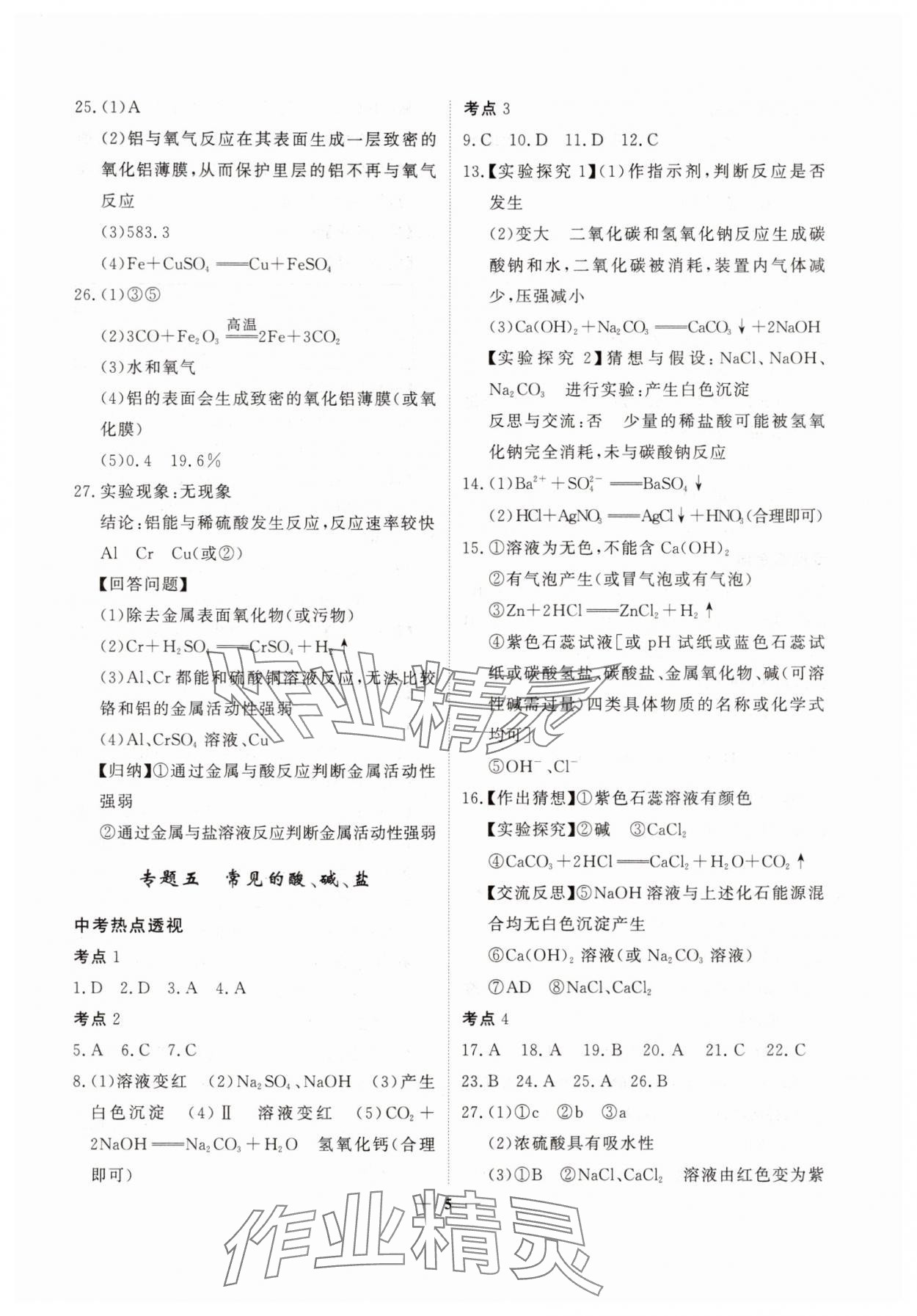 2025年中考導航總復習化學 第5頁