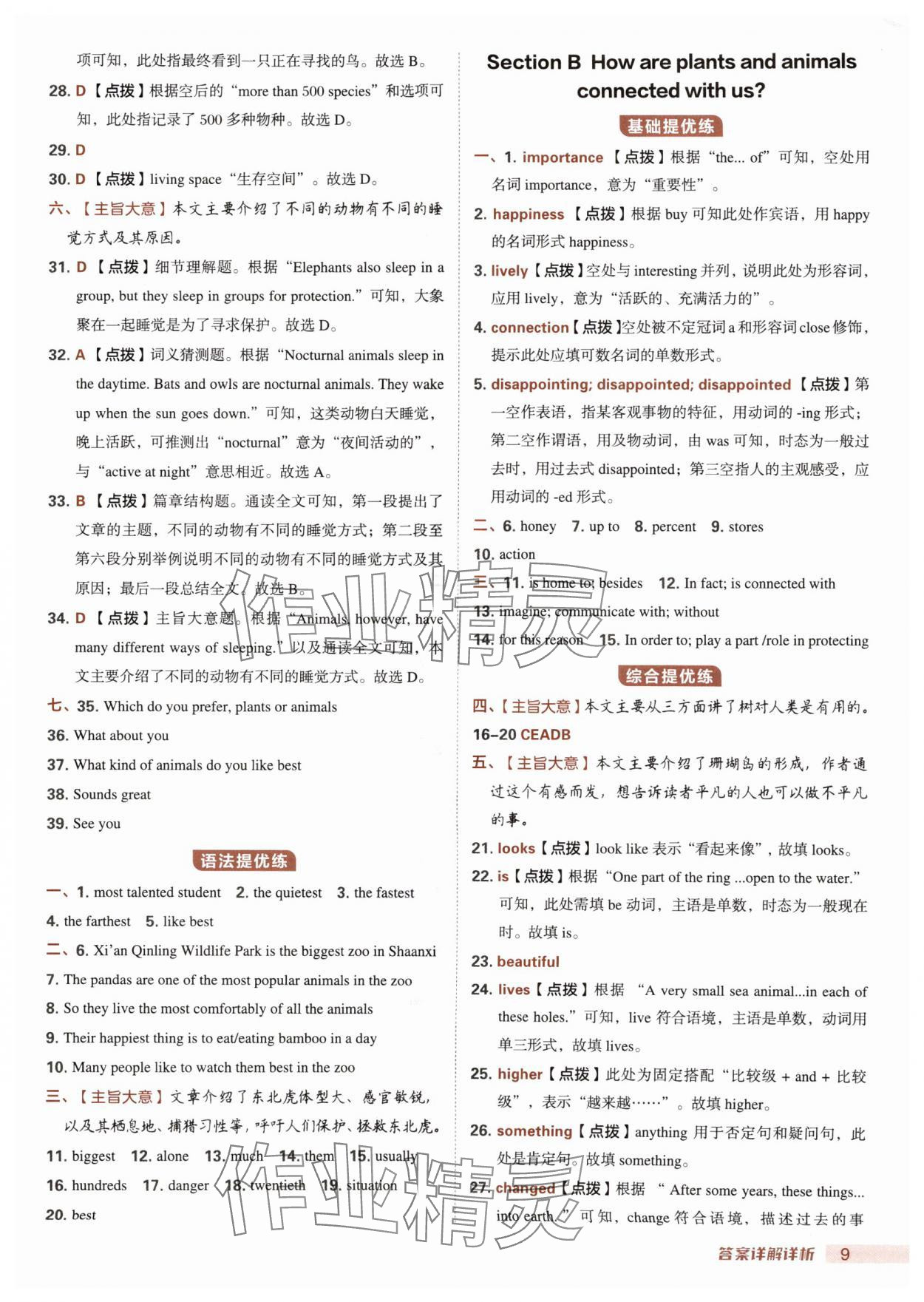 2025年综合应用创新题典中点八年级英语上册人教版陕西专版 第9页