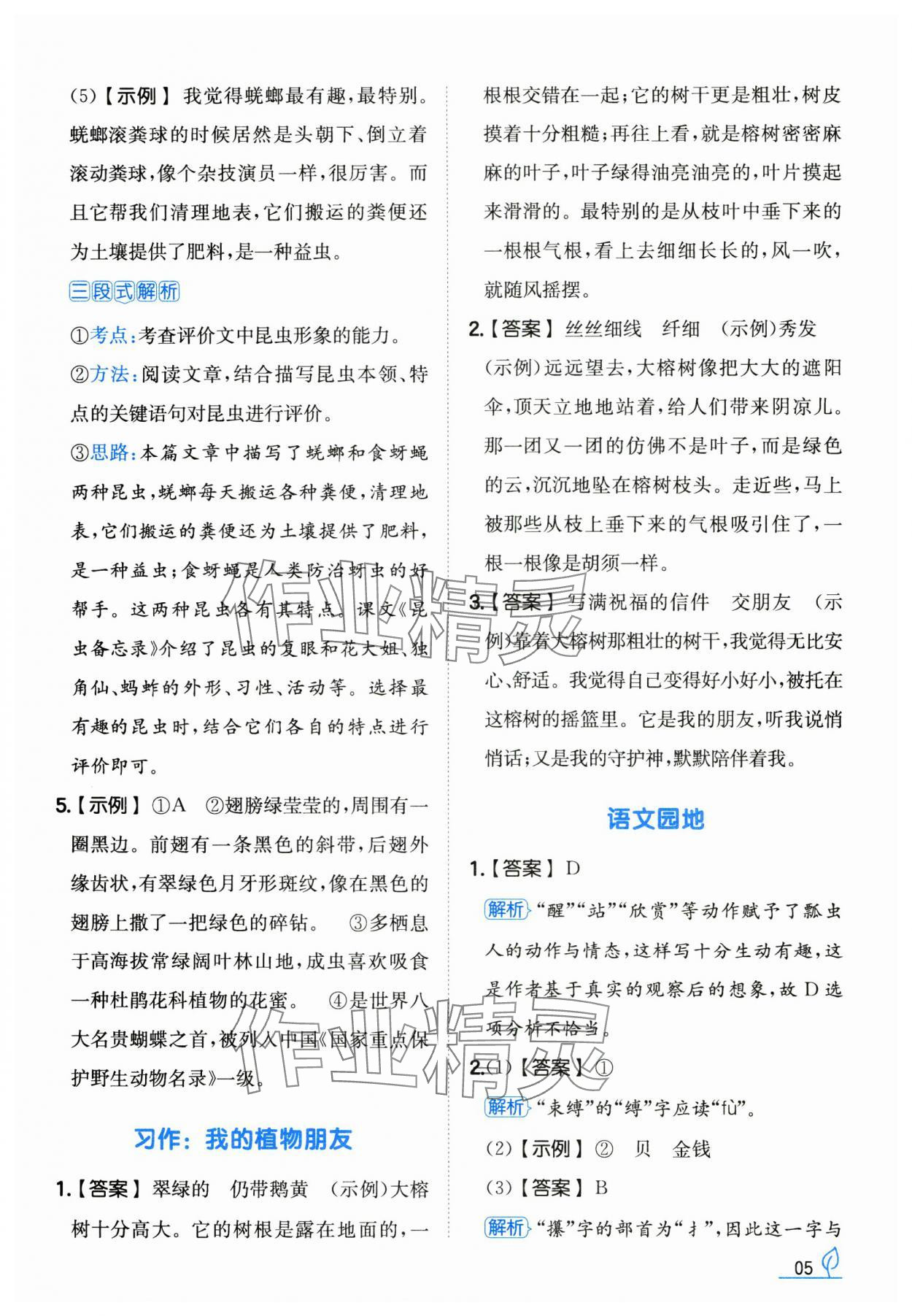 2025年一本同步訓(xùn)練三年級(jí)語(yǔ)文下冊(cè)人教版福建專版 第5頁(yè)