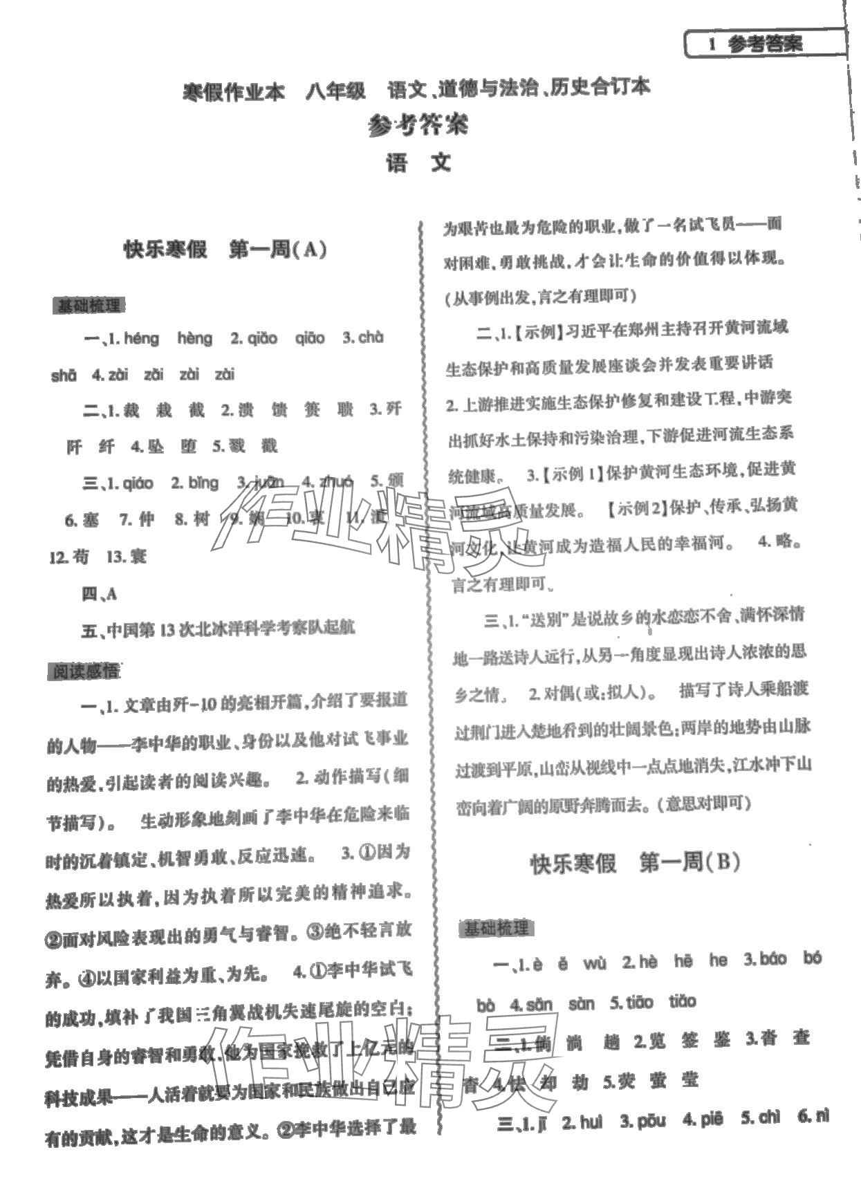 2024年寒假作业本大象出版社八年级语文道德与法治历史 第1页