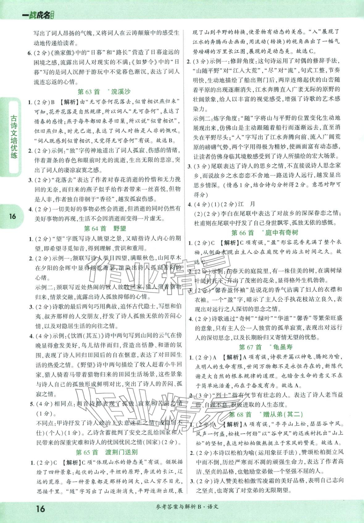 2026年纯练版总复习九年级语文全一册人教版&nbsp;第16页