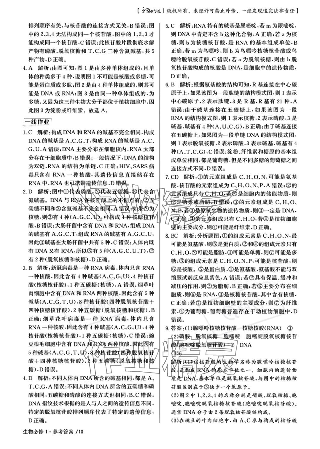 2023年一線精練高中生物必修1人教版 參考答案第10頁(yè)