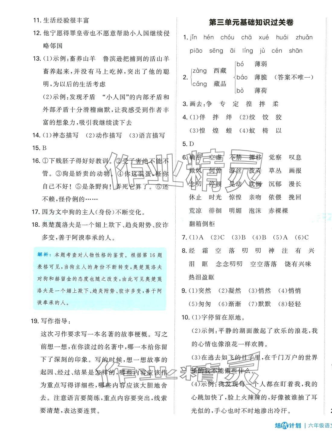 2024年培優(yōu)計劃延邊大學(xué)出版社六年級語文下冊人教版 第5頁