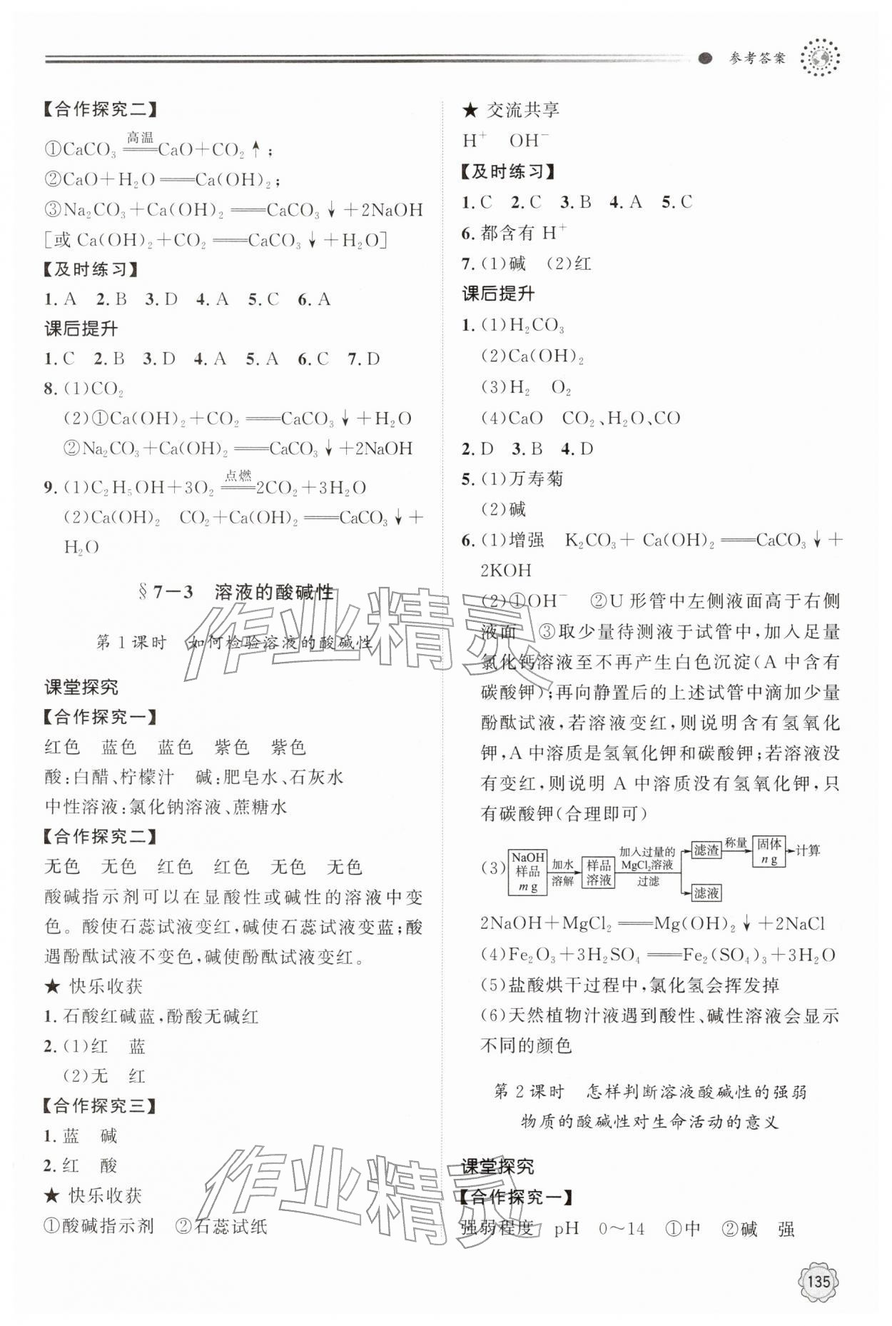 2026年同步练习册明天出版社九年级化学下册鲁教版&nbsp;第3页