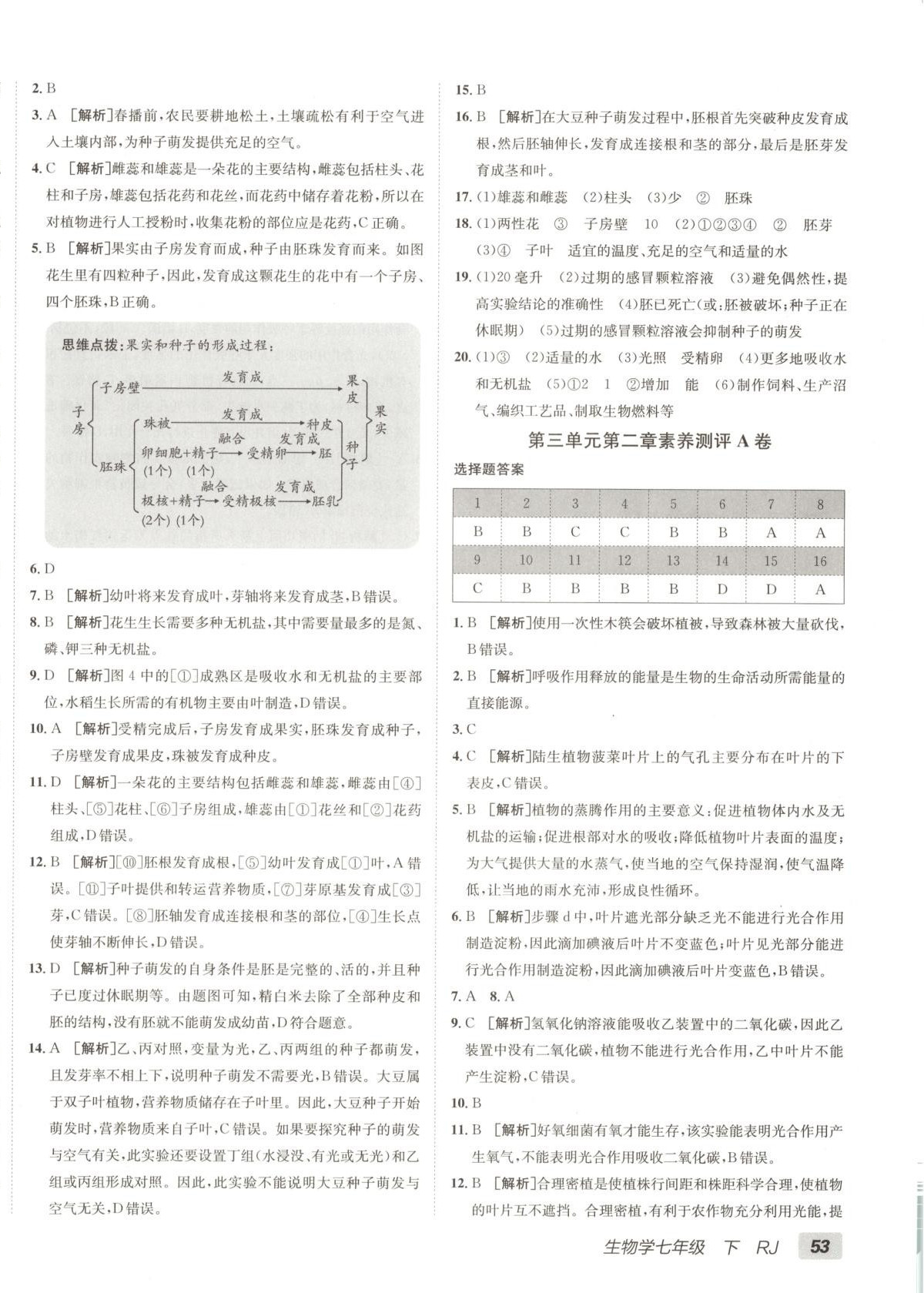 2025年海淀单元测试AB卷七年级生物下册人教版 第2页