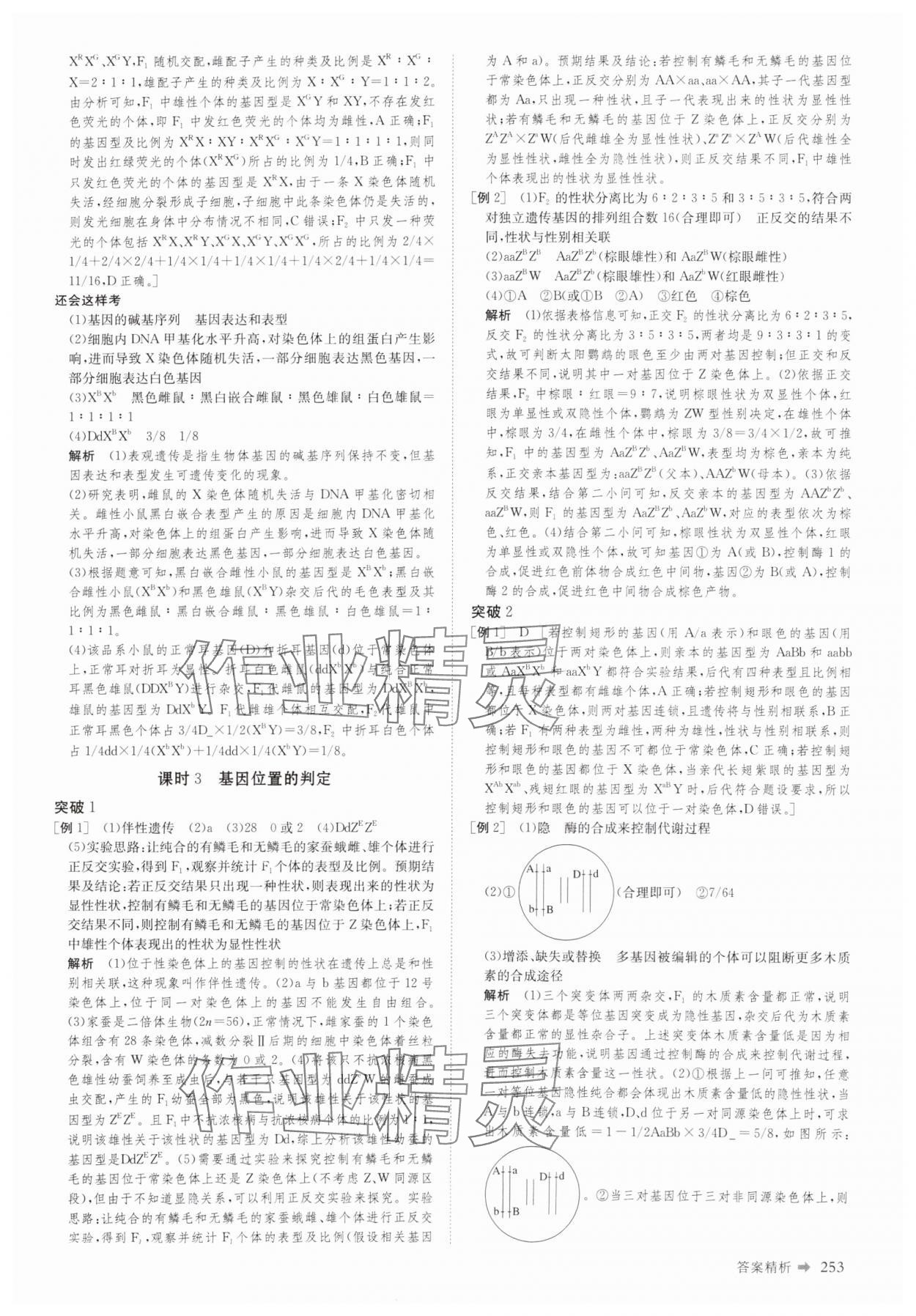 2025年創(chuàng)新設計二輪專題復習生物 參考答案第14頁