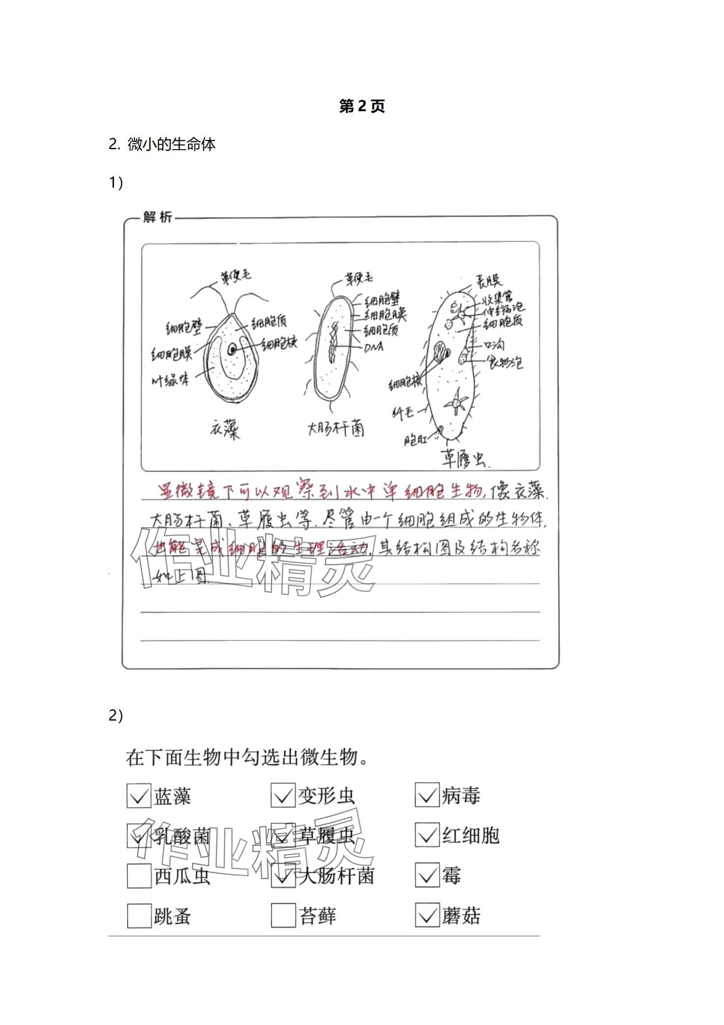 2024年學(xué)生活動(dòng)手冊(cè)江蘇鳳凰教育出版社五年級(jí)科學(xué)下冊(cè)通用版 第2頁(yè)