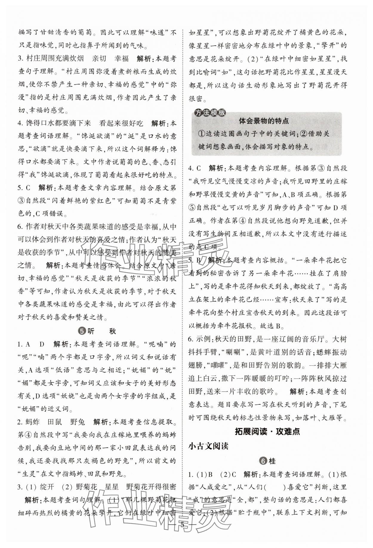 2025年经纶学典同步阅读三年级语文上册人教版&nbsp;第5页