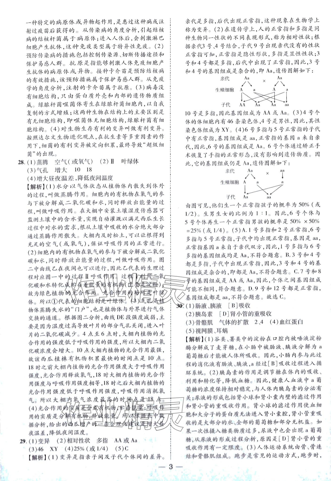 2024年鲁人泰斗中考必备中考试题汇编生物中考&nbsp;第3页
