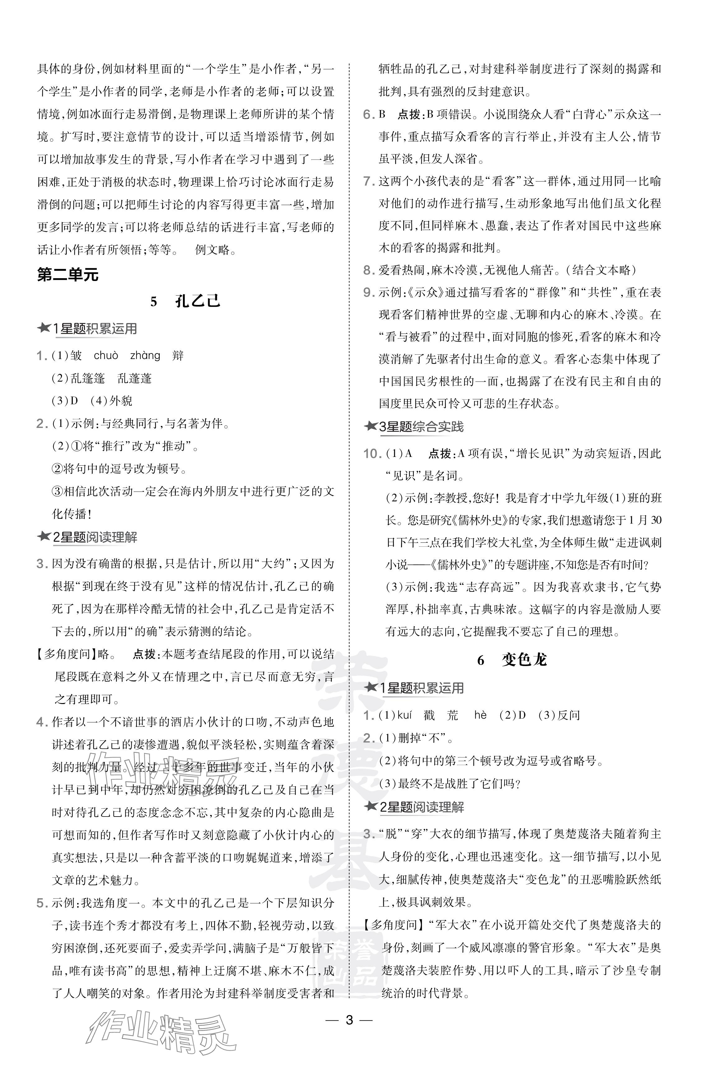 2024年點撥訓(xùn)練九年級語文下冊人教版安徽專版 參考答案第3頁