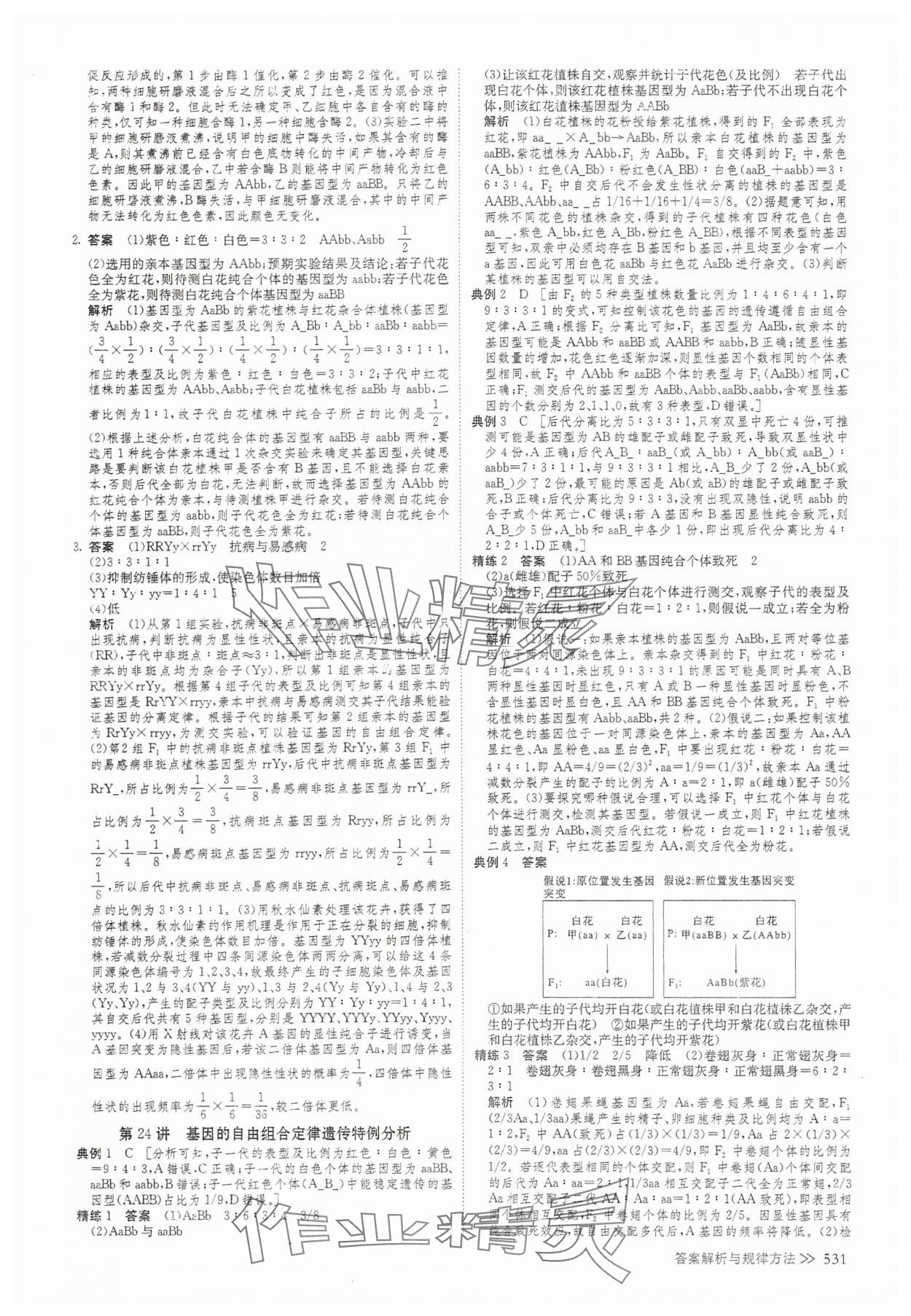 2025年創(chuàng)新設(shè)計高考總復(fù)習(xí)生物 參考答案第27頁