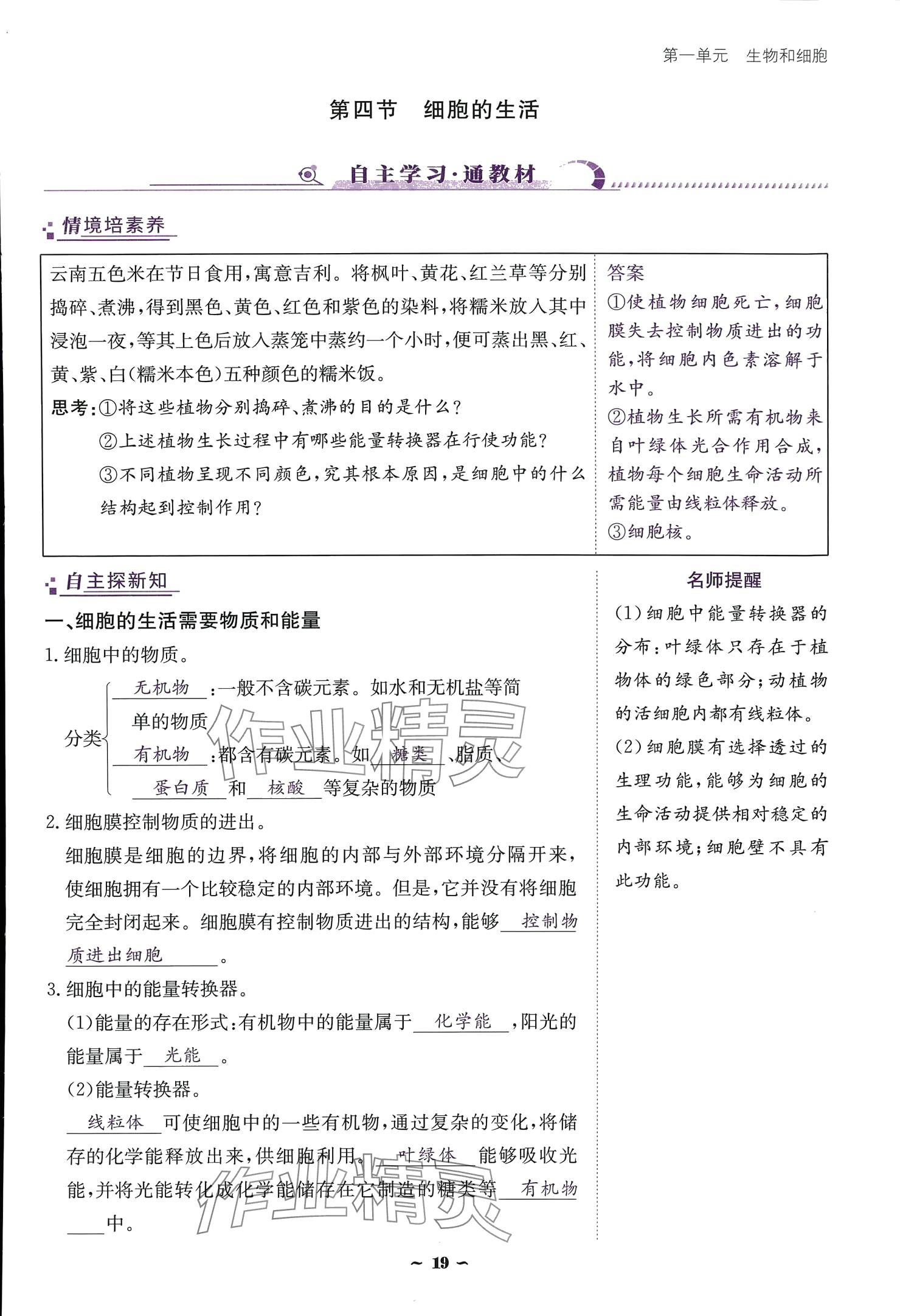 2024云南省標(biāo)準(zhǔn)教輔優(yōu)佳學(xué)案七年級生物上冊 參考答案第19頁